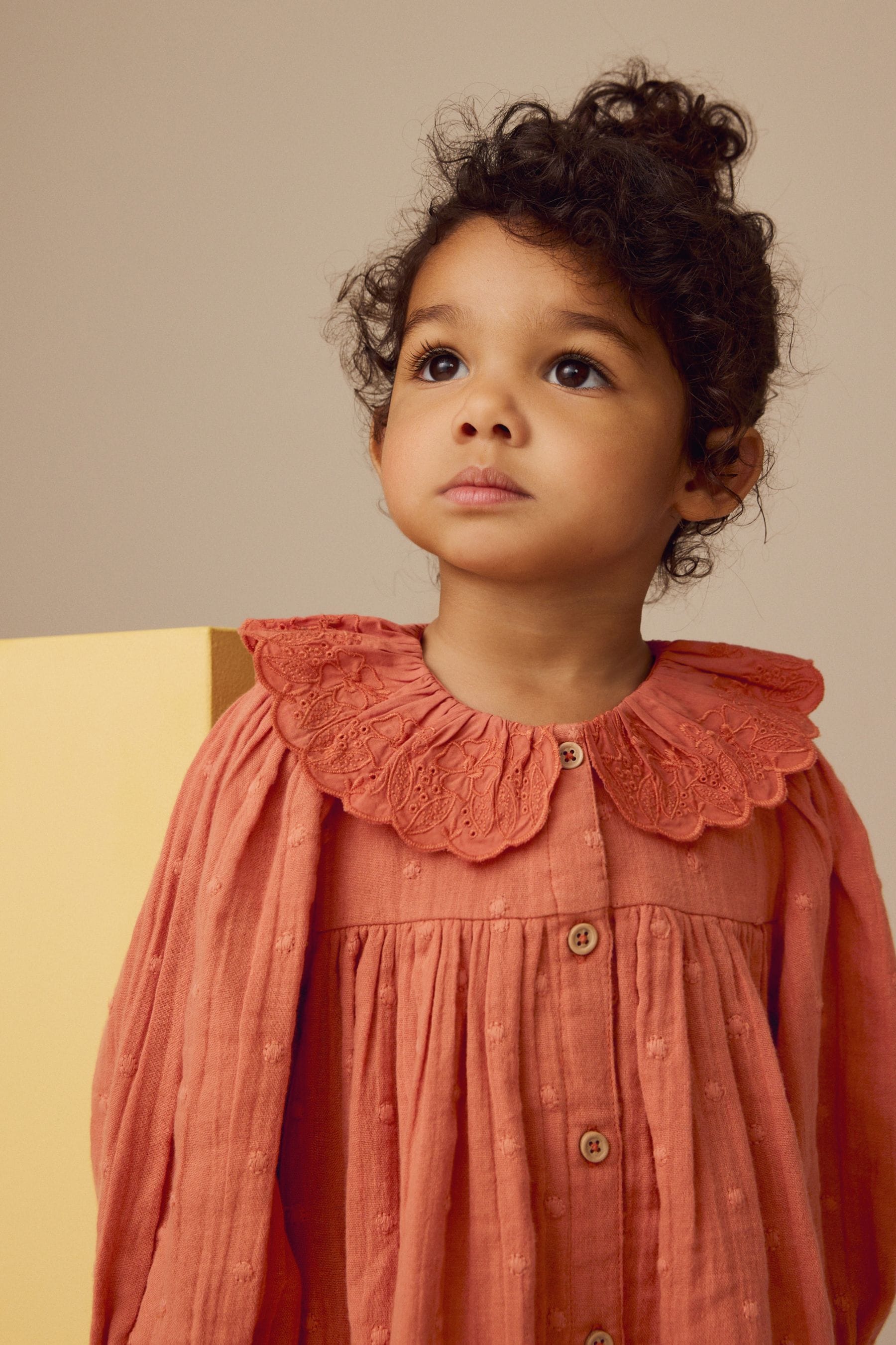 Rust Brown Embroidered Collar Long Sleeve Dress (3mths-8yrs)