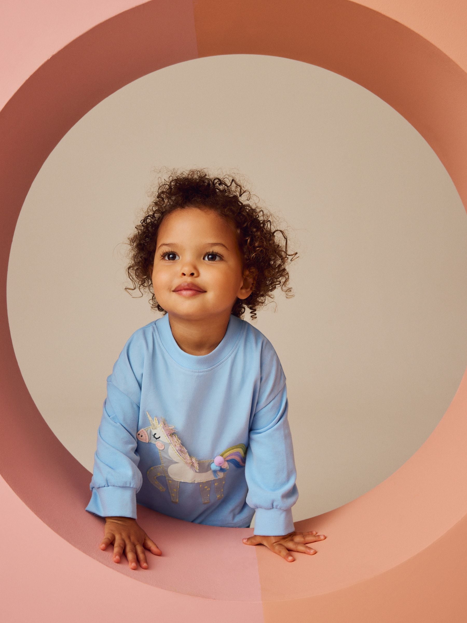 Blue Unicorn Long Sleeve 100% Cotton T-Shirt (3mths-7yrs)