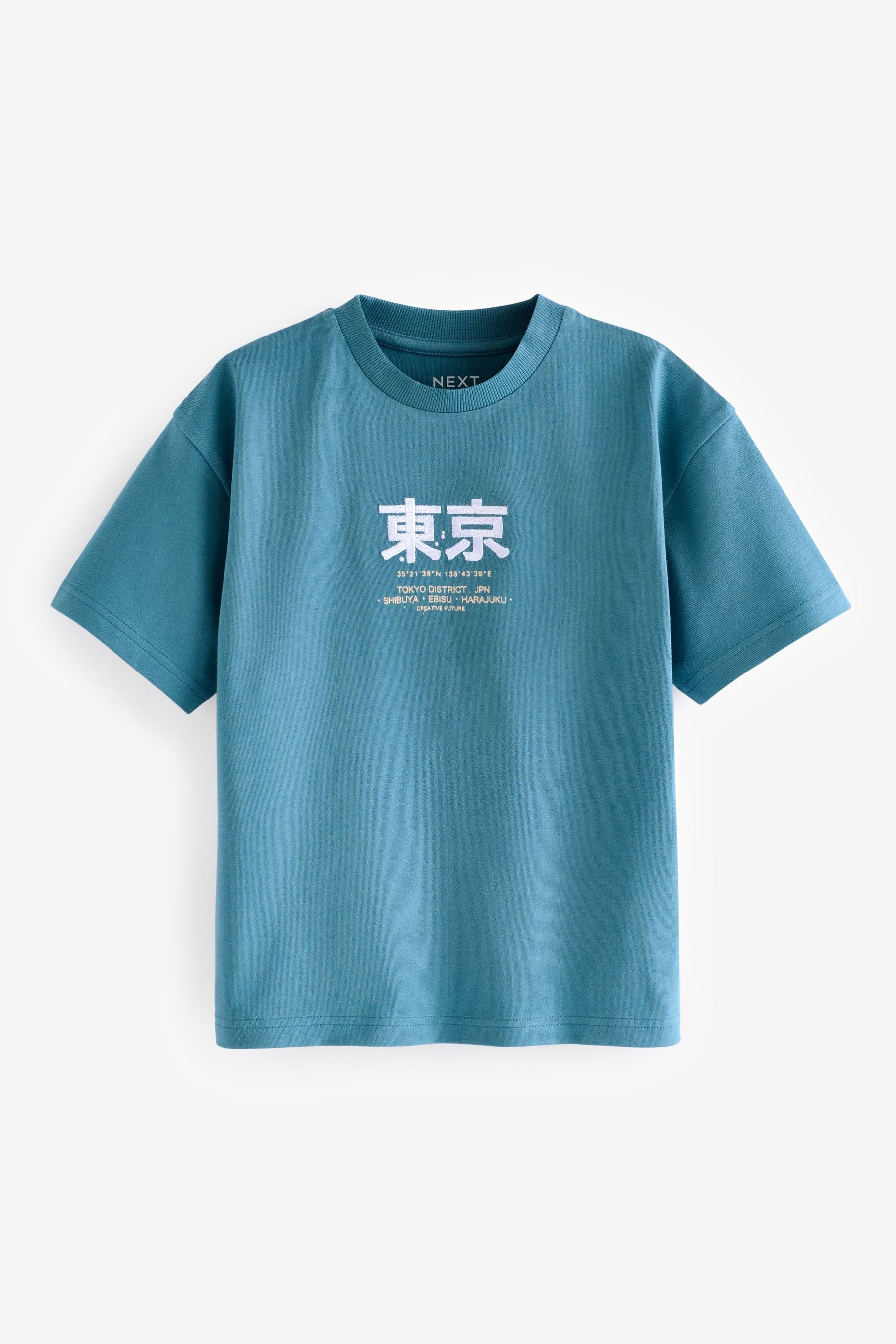 Teal Blue Embroidery Relaxed Fit Short Sleeve 100% Cotton Graphic T-Shirt (3-16yrs)