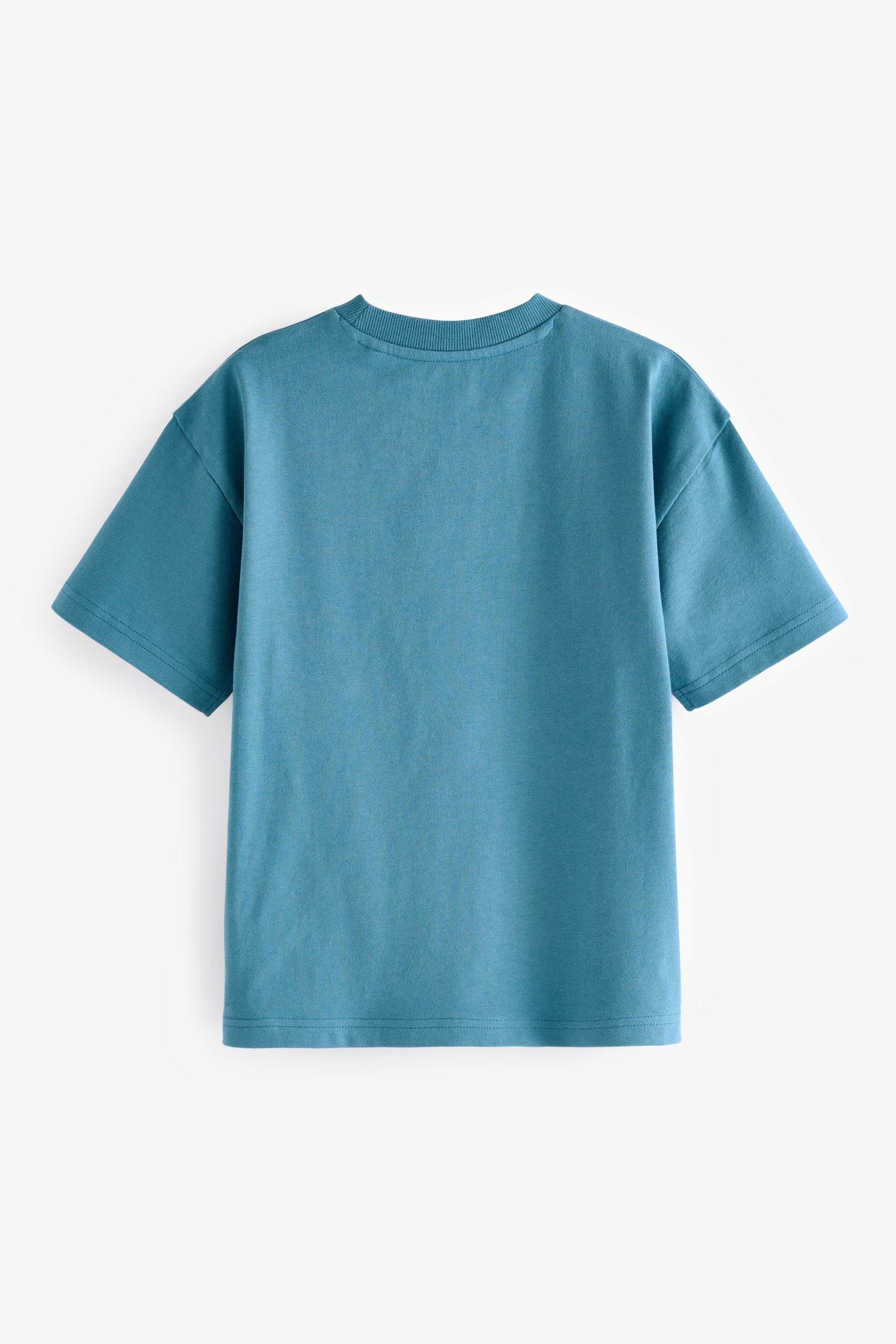 Teal Blue Embroidery Relaxed Fit Short Sleeve 100% Cotton Graphic T-Shirt (3-16yrs)