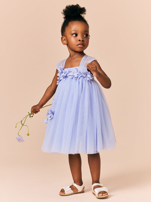 Blue Sleeveless Flower Mesh Dress (3mths-7yrs)