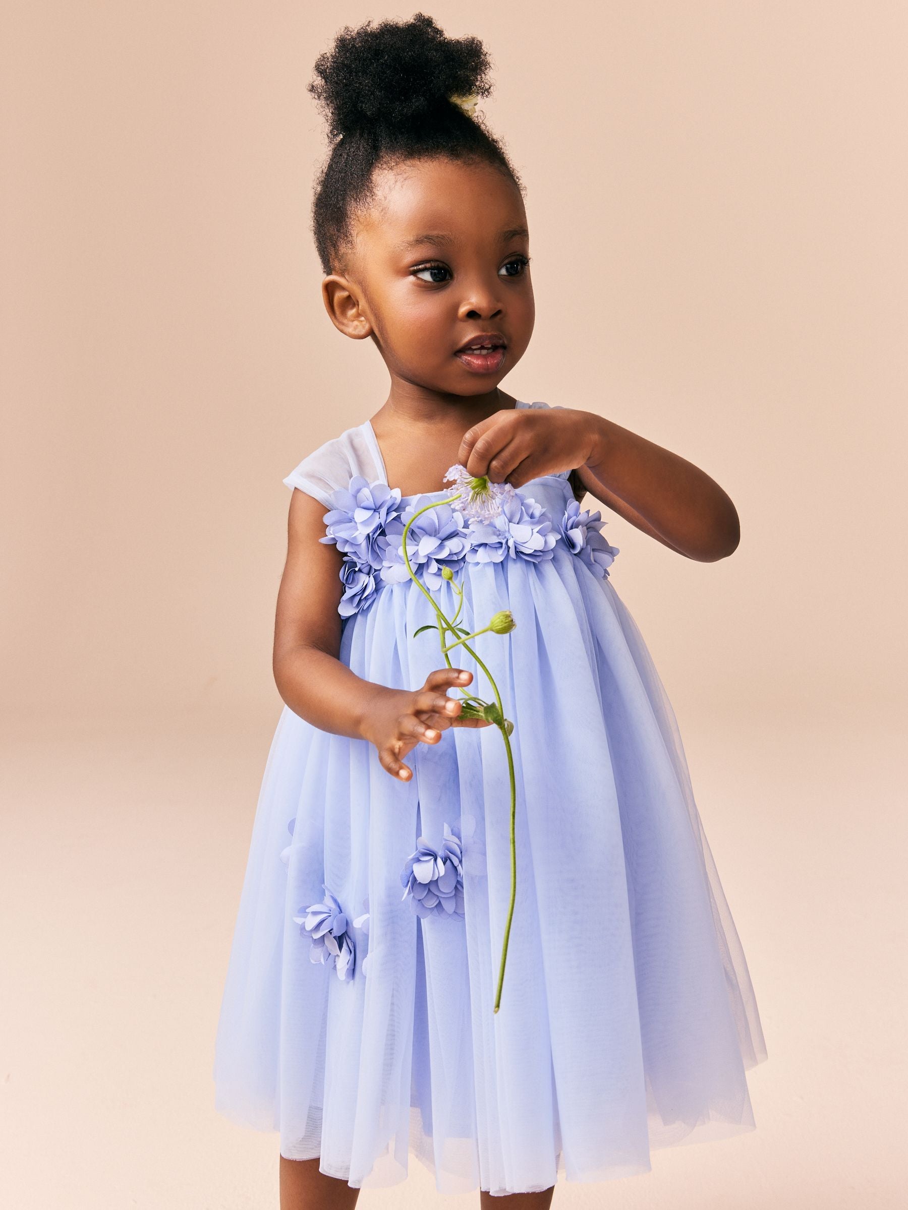 Blue Sleeveless Flower Mesh Dress (3mths-7yrs)