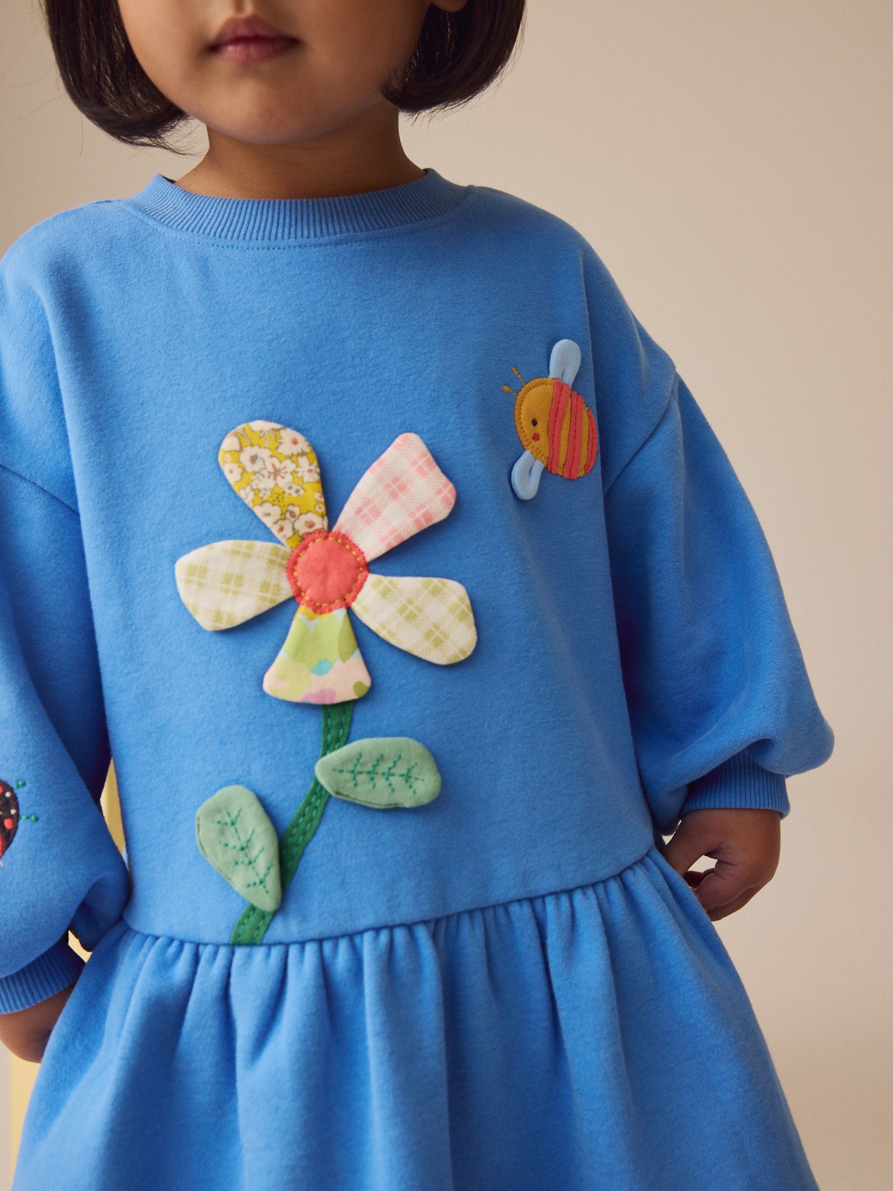 Blue Character Long Sleeve Sweat Dress (3mths-7yrs)