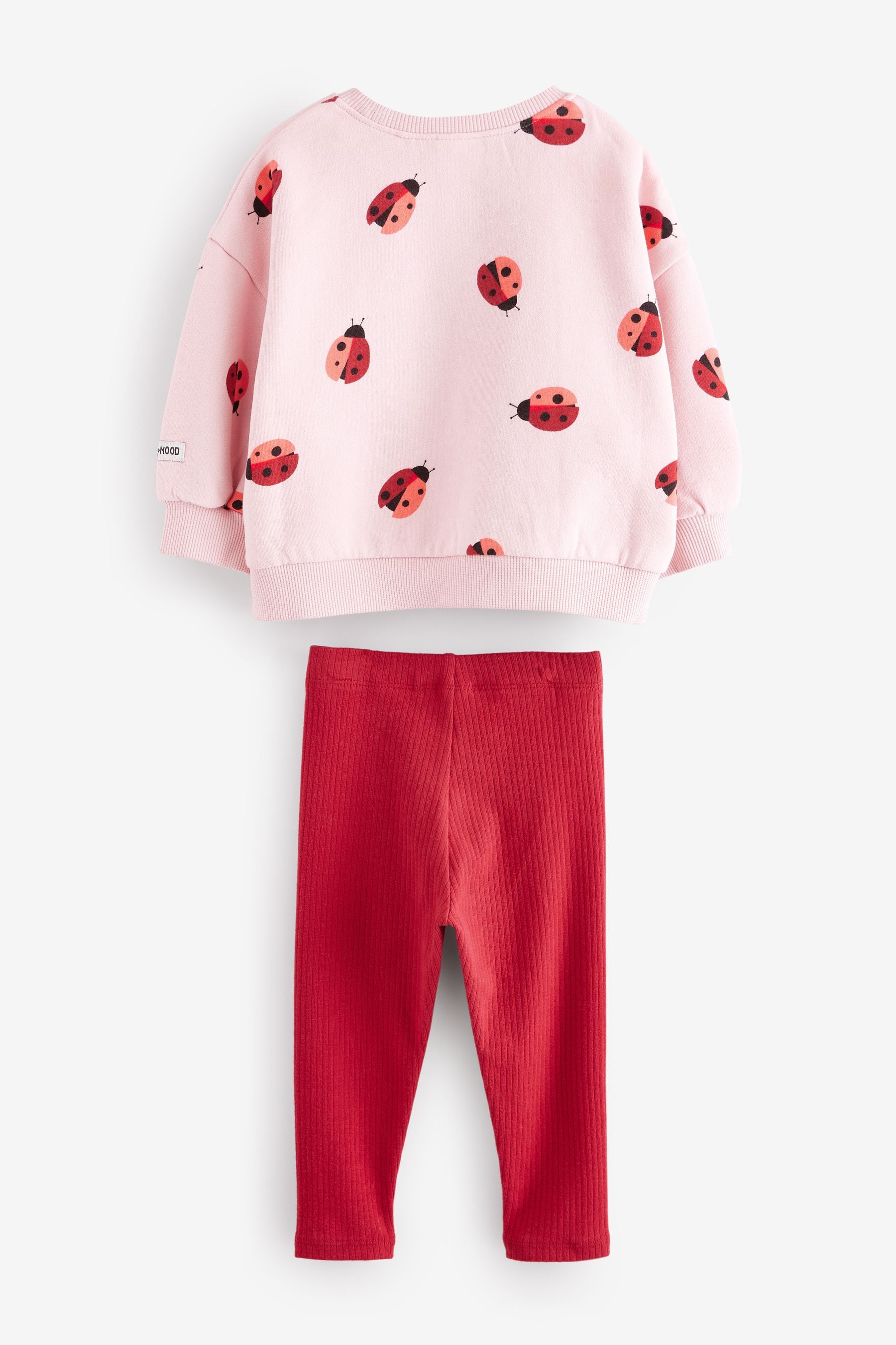 Pink/Red Ladybird Sweatshirt and Leggings Set (3mths-7yrs)