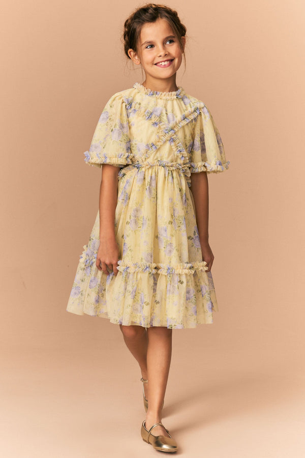 Yellow Floral Cut Out Mesh Printed Occasion Dress (3-16yrs)