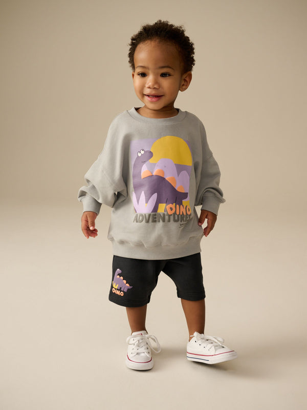 Grey Sweatshirt and Patterned Shorts Set (3mths-8yrs)