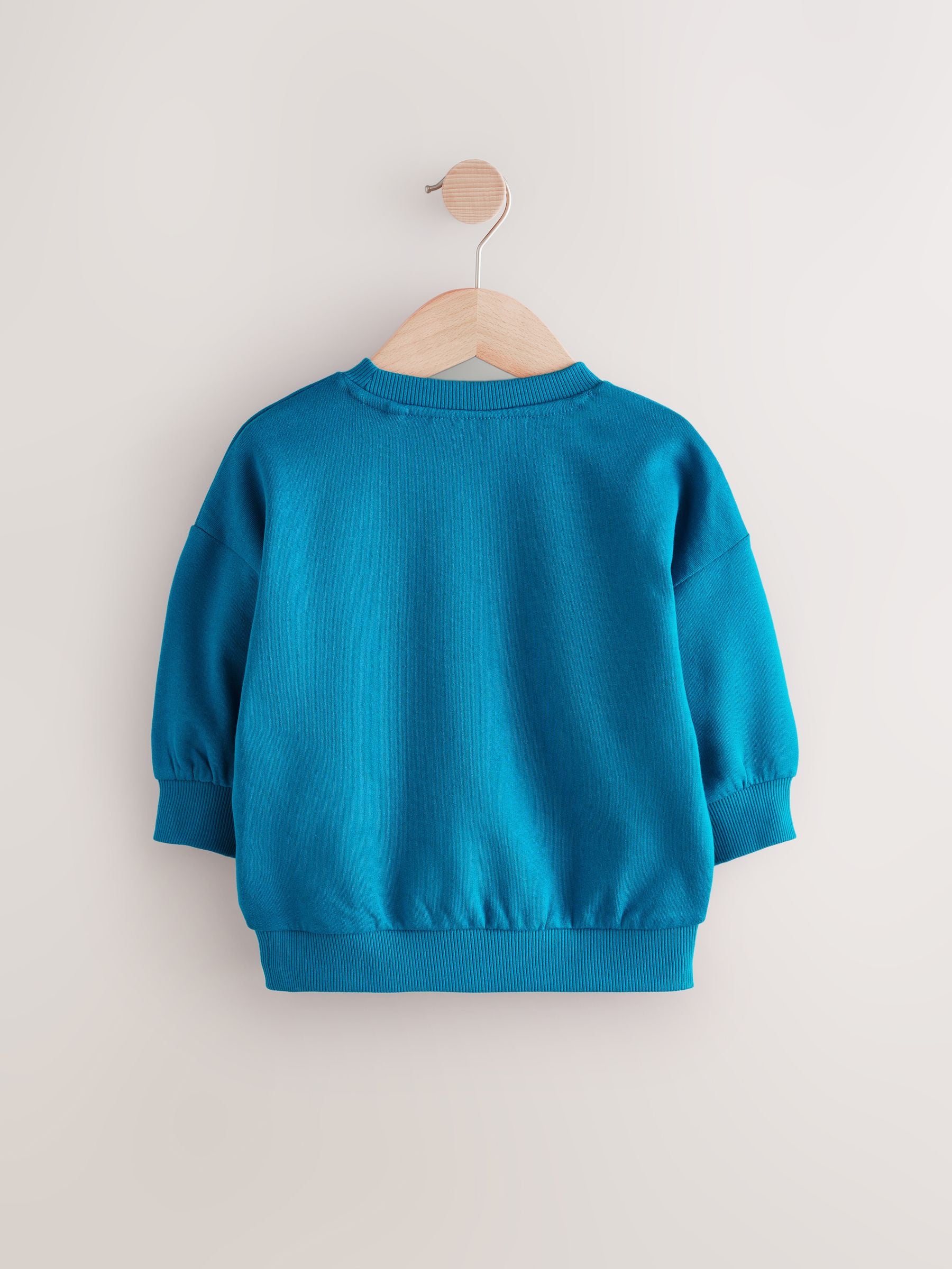 Blue Embroidered Crew Neck 100% Cotton Sweatshirt (3mths-7yrs)