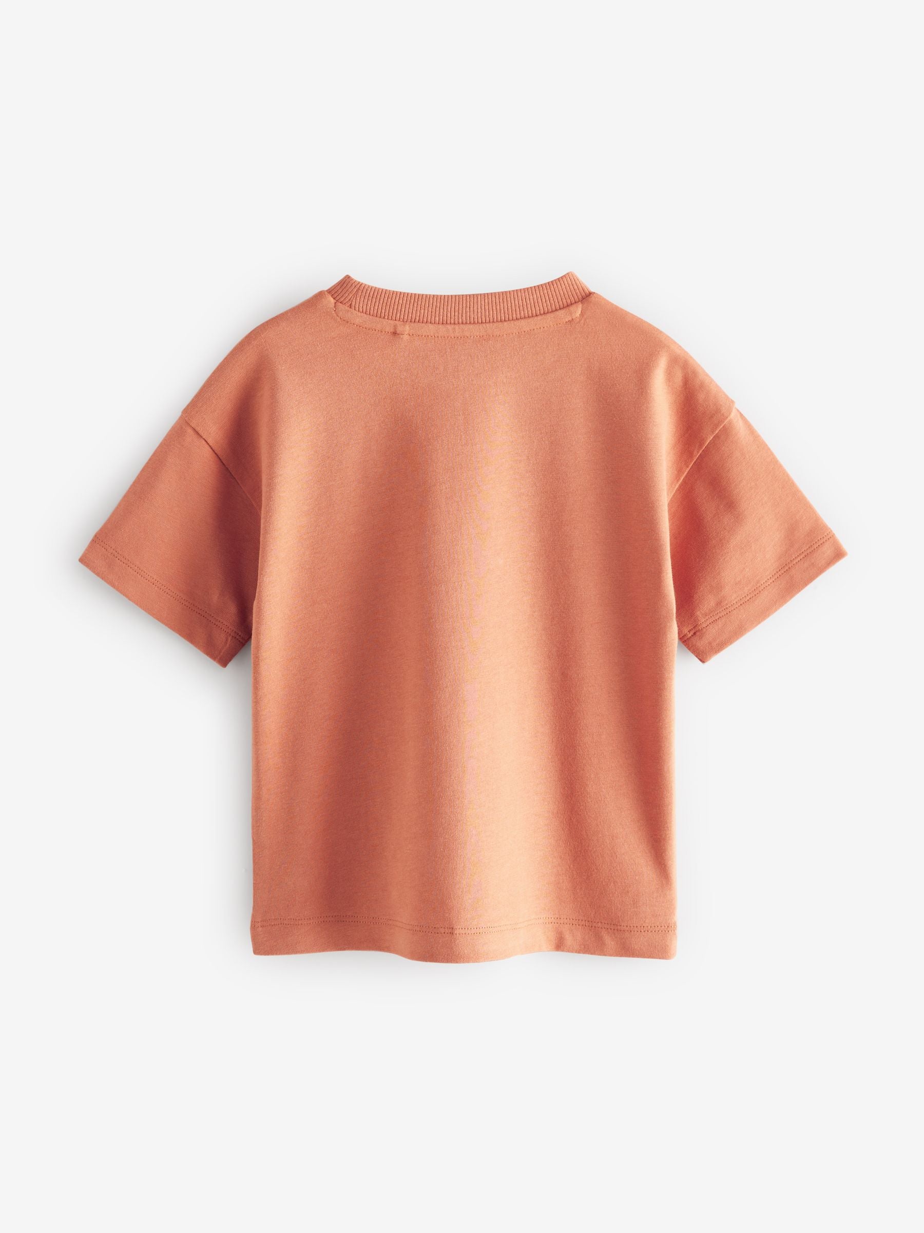 Rust Brown Simple 100% Cotton Short Sleeve T-Shirt (3mths-7yrs)