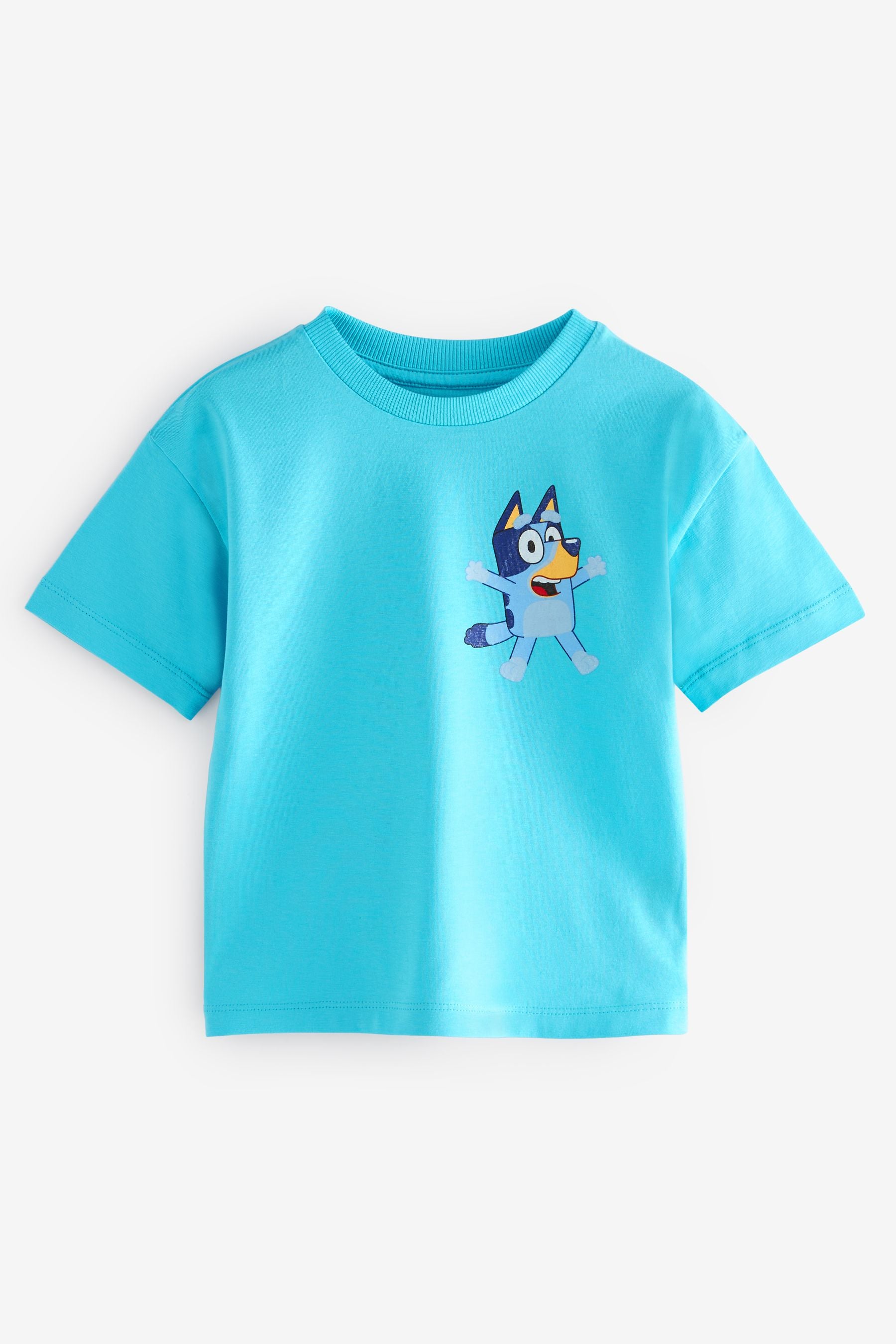 Blue Bluey Short Sleeve T-Shirt (12mths-7yrs)