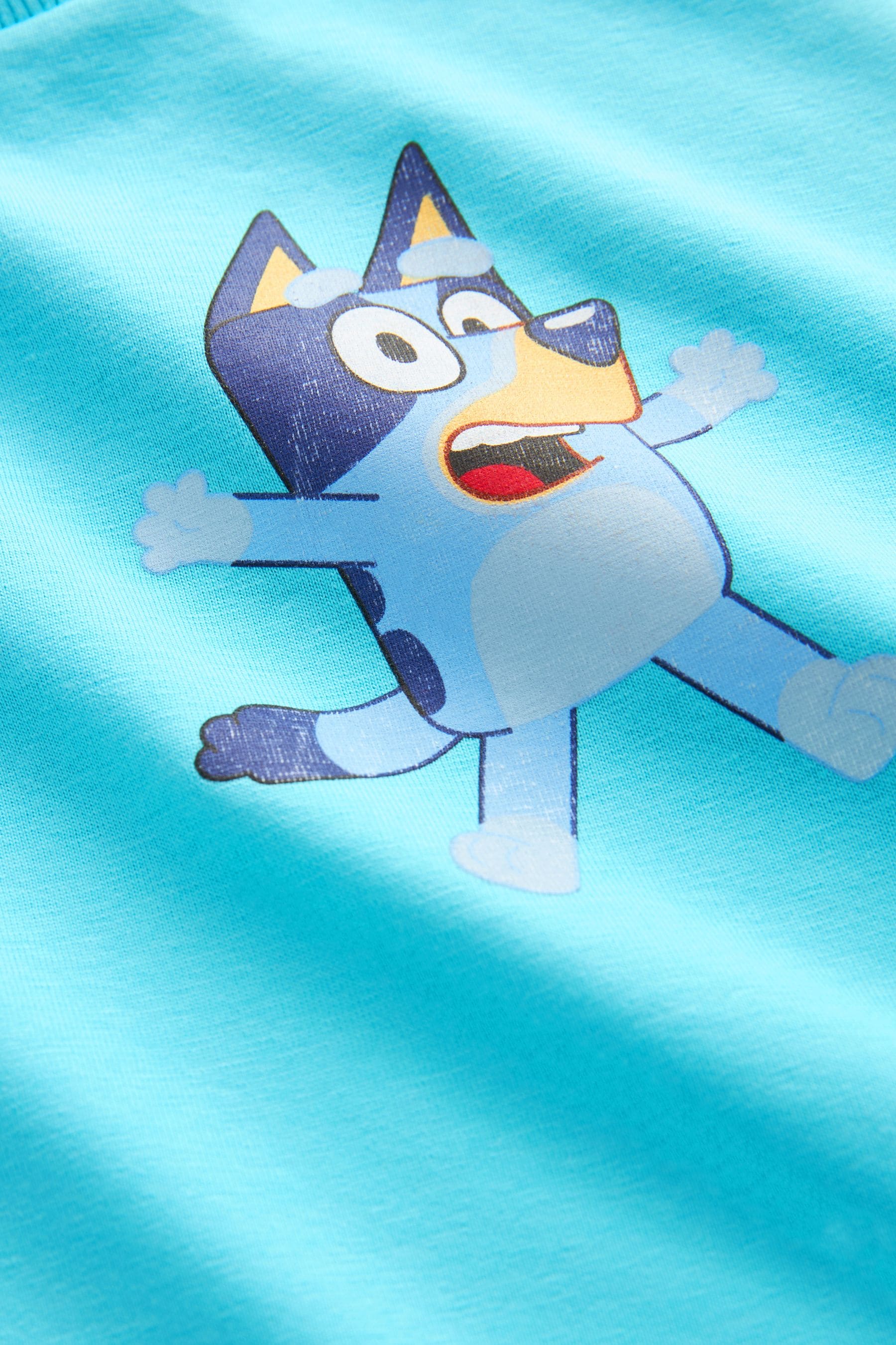 Blue Bluey Short Sleeve T-Shirt (12mths-7yrs)