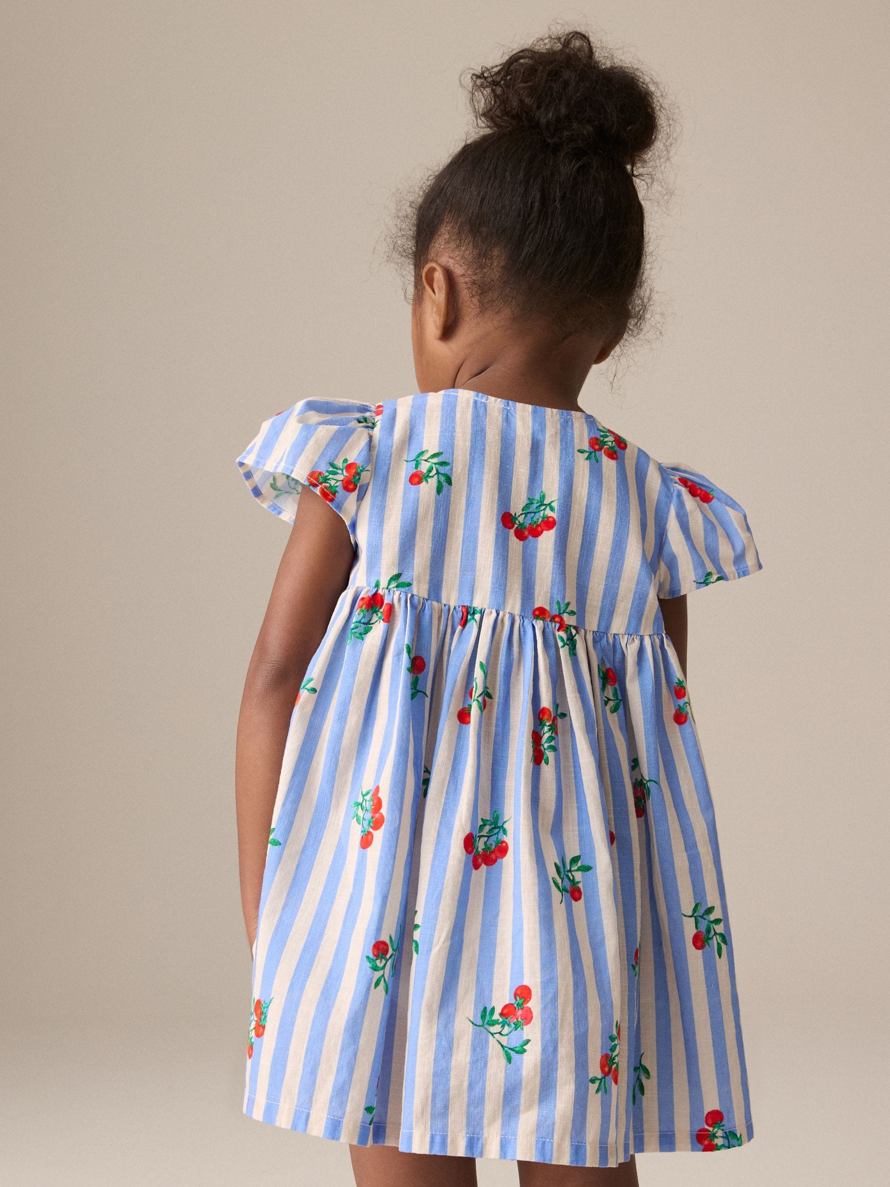 Blue Tomato Stripe Button Up Dress (3mths-10yrs)