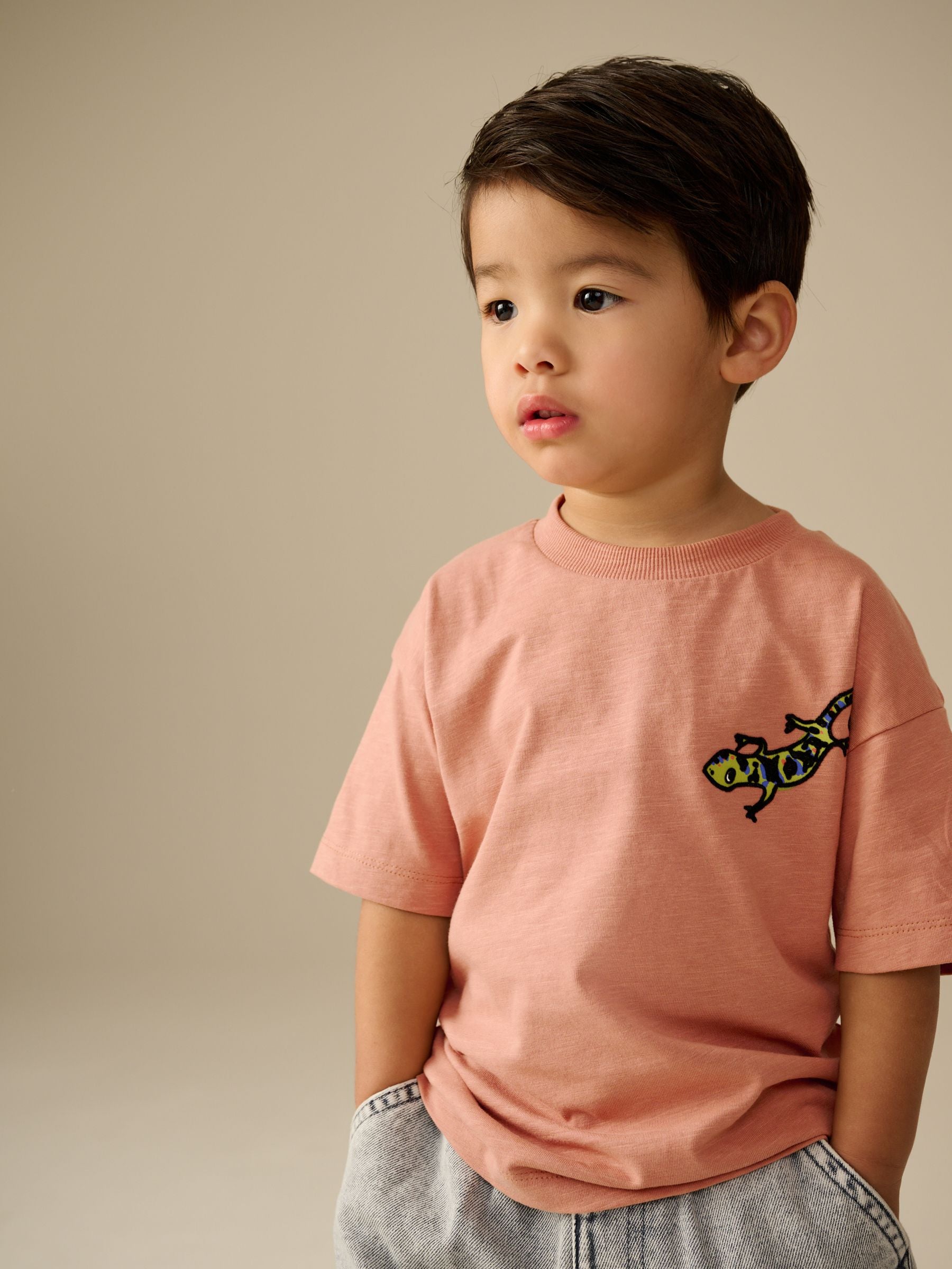 Rust Brown Short Sleeve Back Print 100% Cotton T-Shirt (3mths-7yrs)