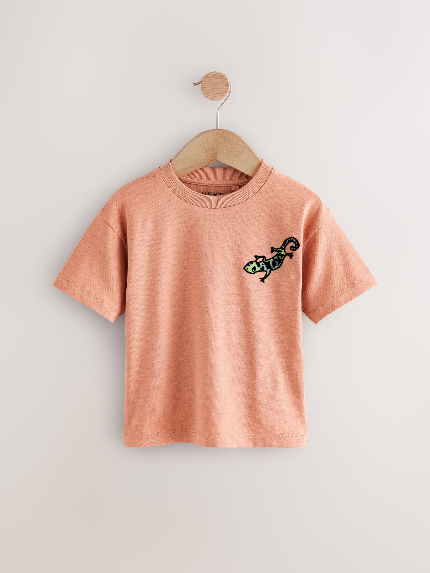 Rust Brown Short Sleeve Back Print 100% Cotton T-Shirt (3mths-7yrs)