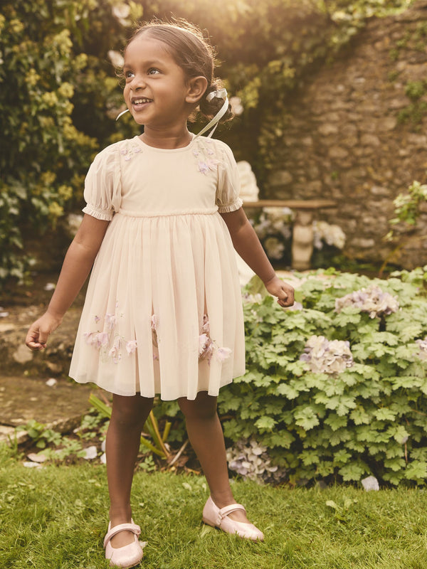 Pink Embroidered Mesh Dress (3mths-8yrs)