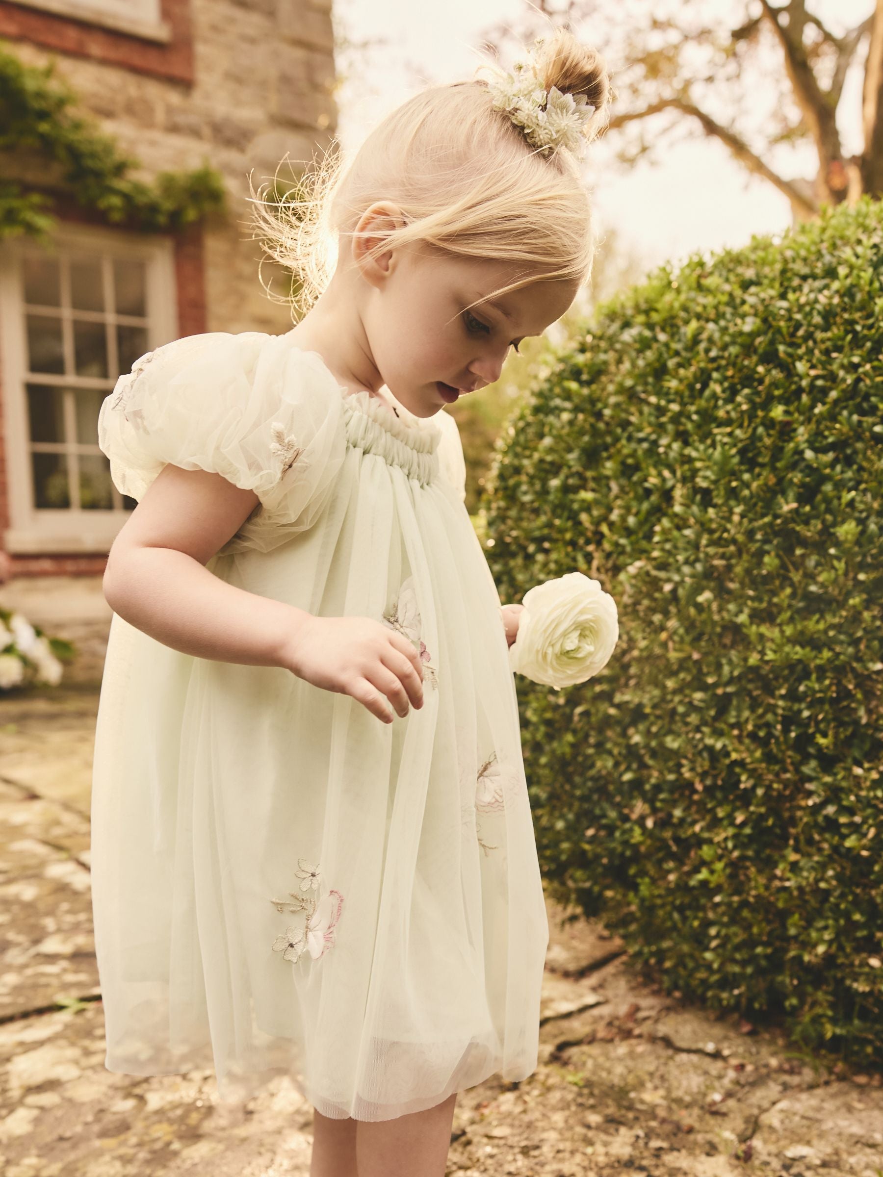 Soft Green Butterfly Mesh Dress (3mths-8yrs)