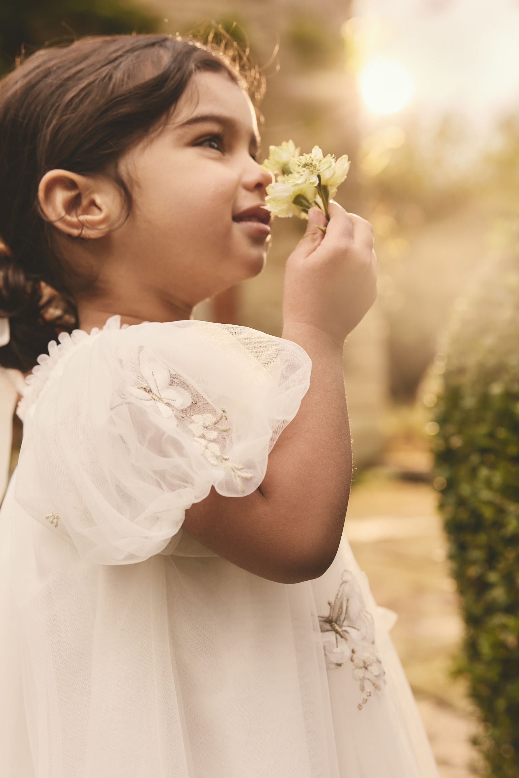 Ivory Butterfly Mesh Dress (3mths-8yrs)