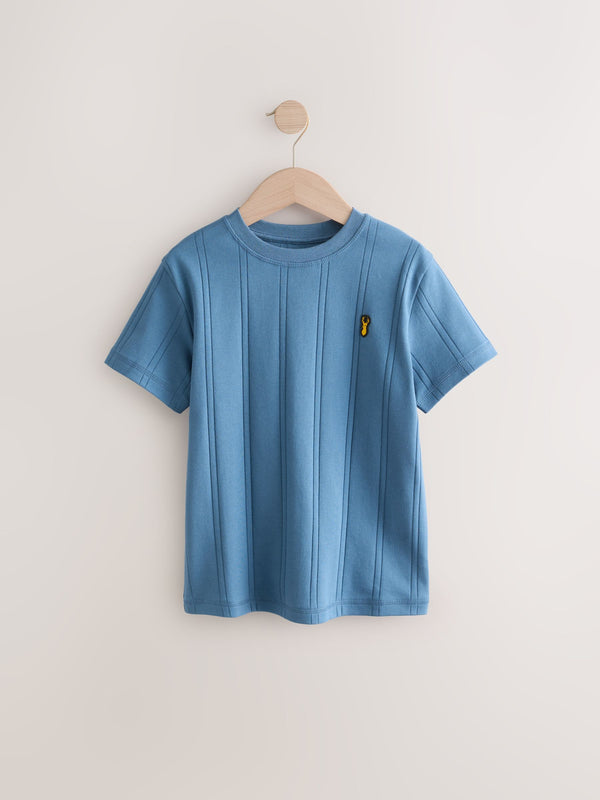 Blue Verticle Texture Short Sleeve 100% Cotton T-Shirt (3-16yrs)