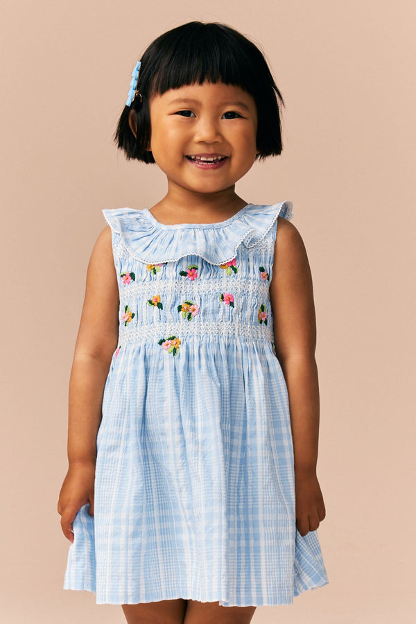 Blue Embroidered Shirred Collar Dress (3mths-8yrs)