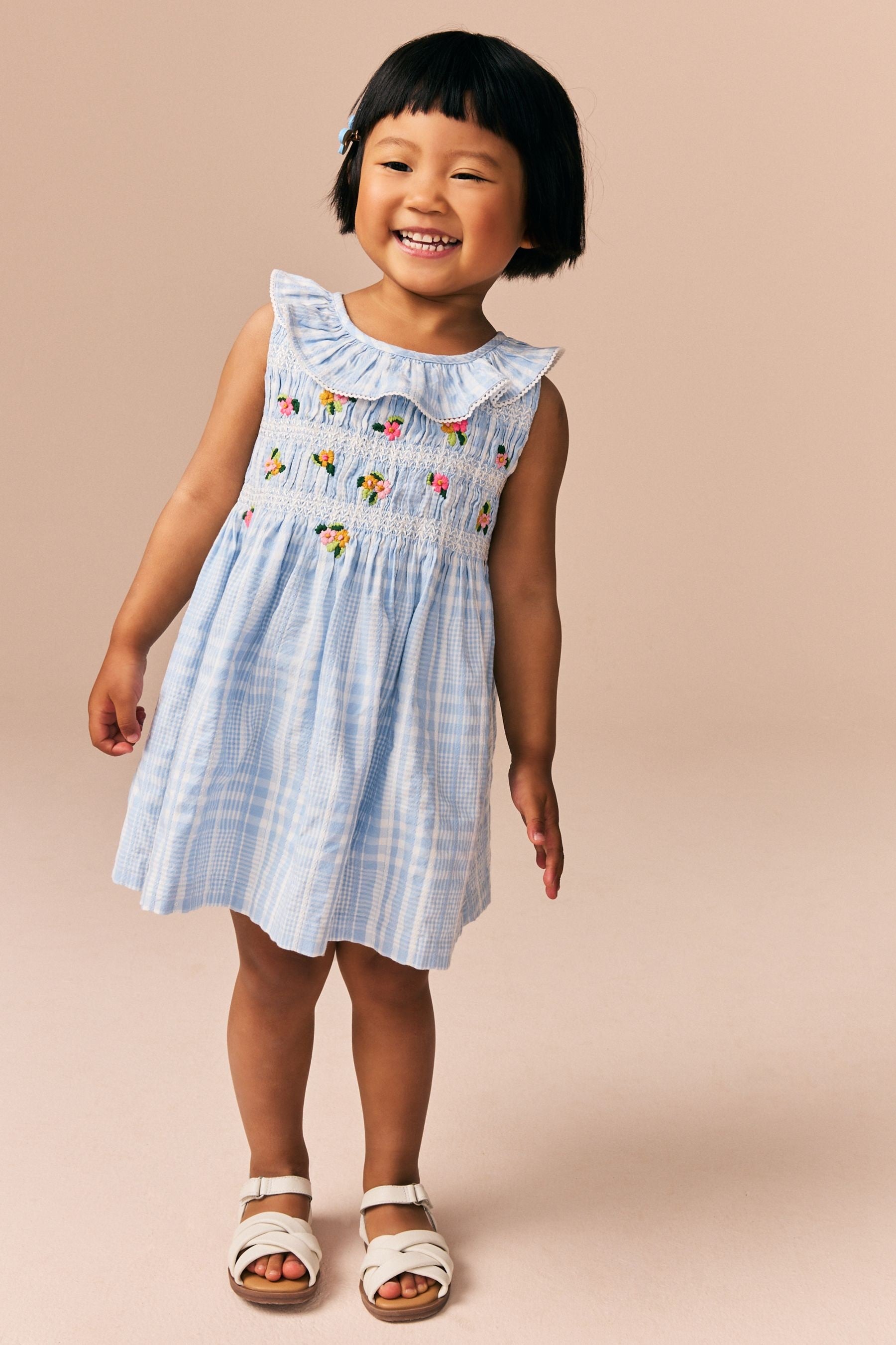 Blue Embroidered Shirred Collar Dress (3mths-8yrs)