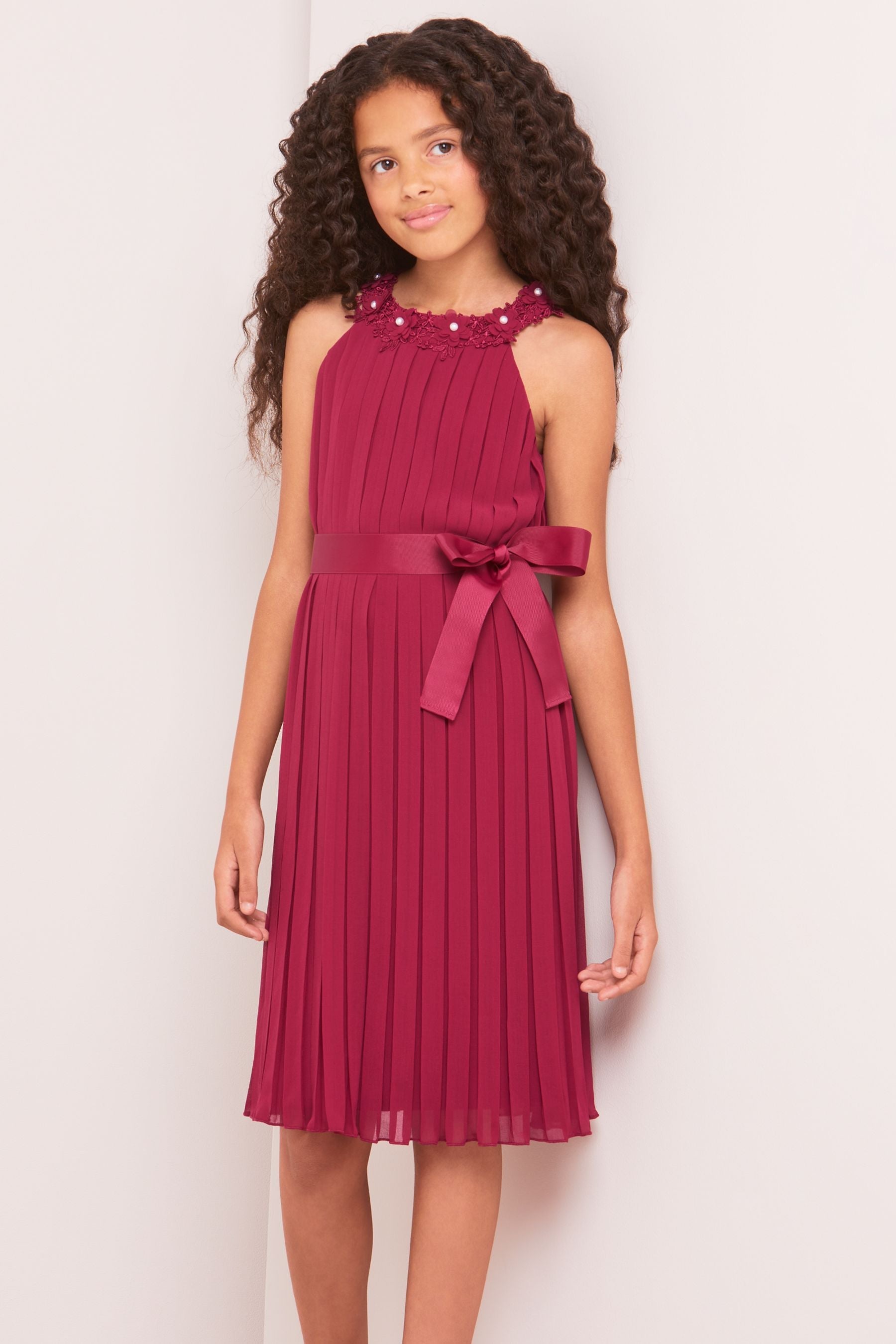 Berry Red Pleated Chiffon Occasion Dress