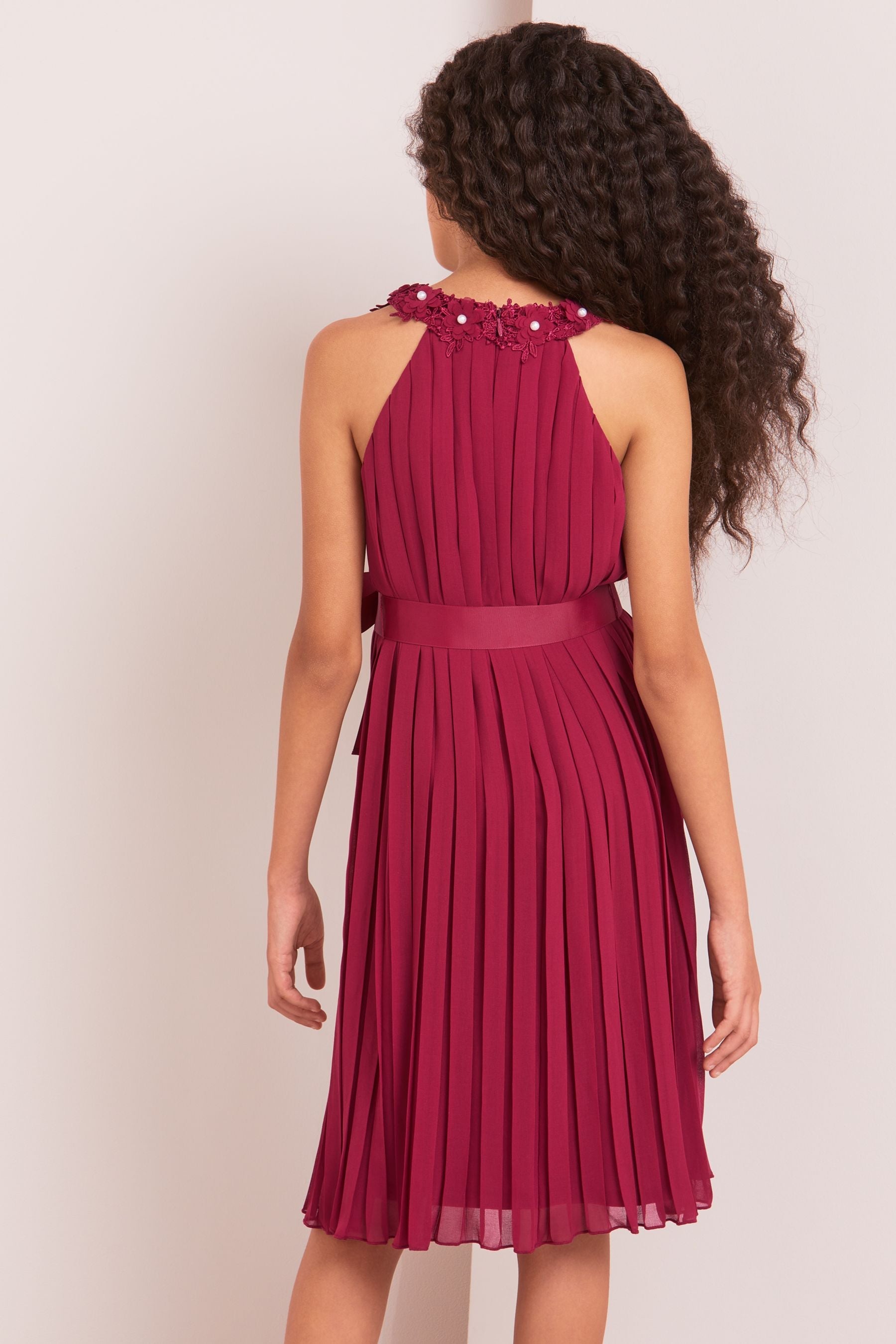 Berry Red Pleated Chiffon Occasion Dress