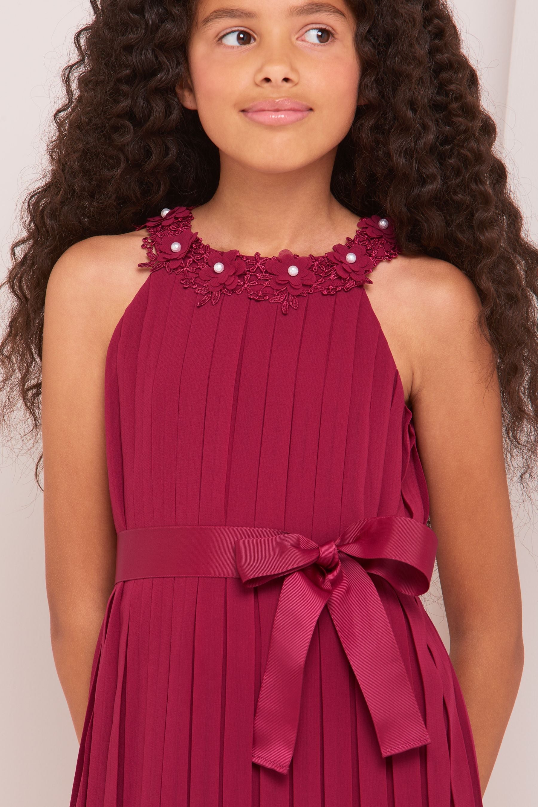 Berry Red Pleated Chiffon Occasion Dress