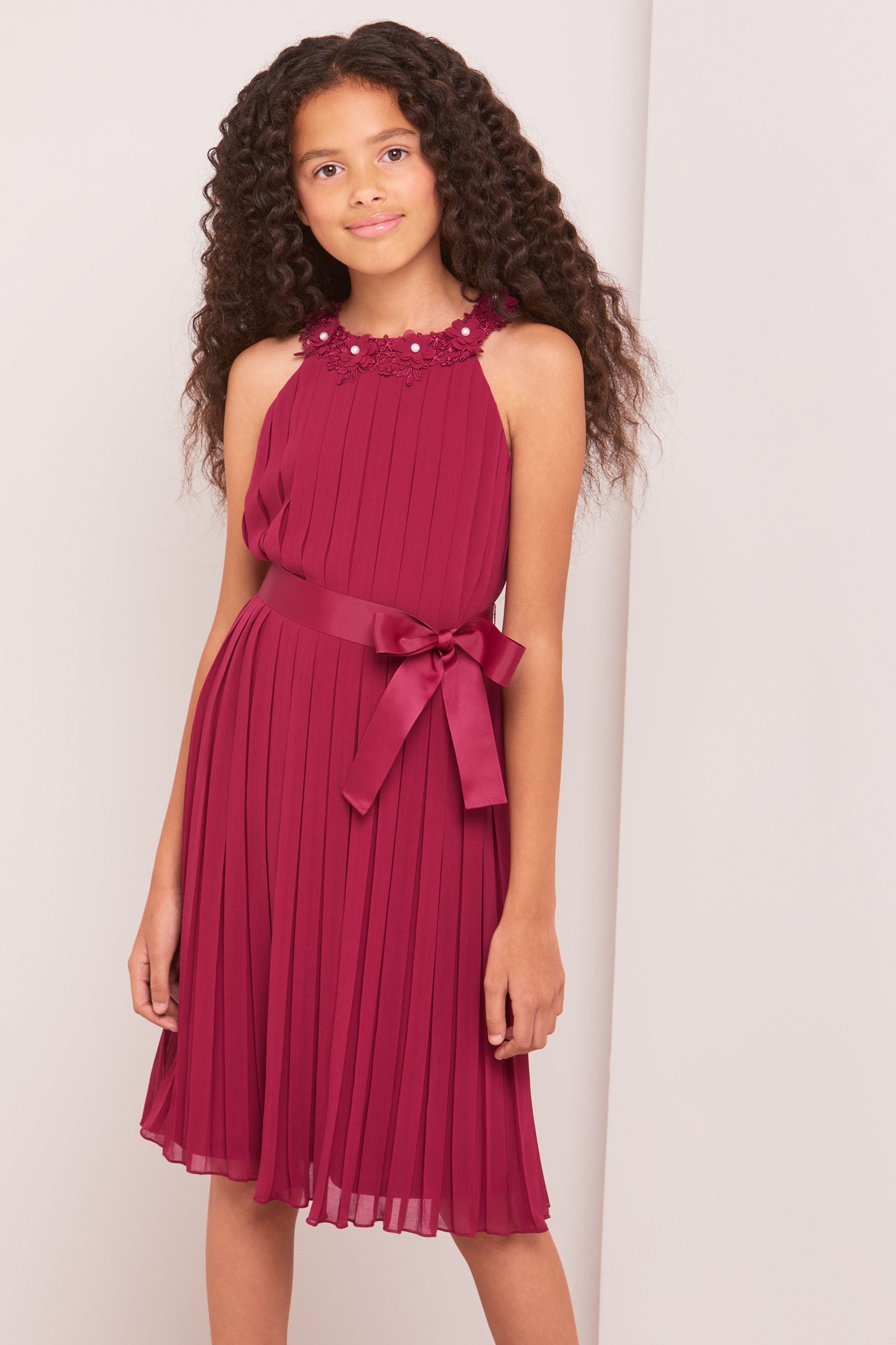 Berry Red Pleated Chiffon Occasion Dress