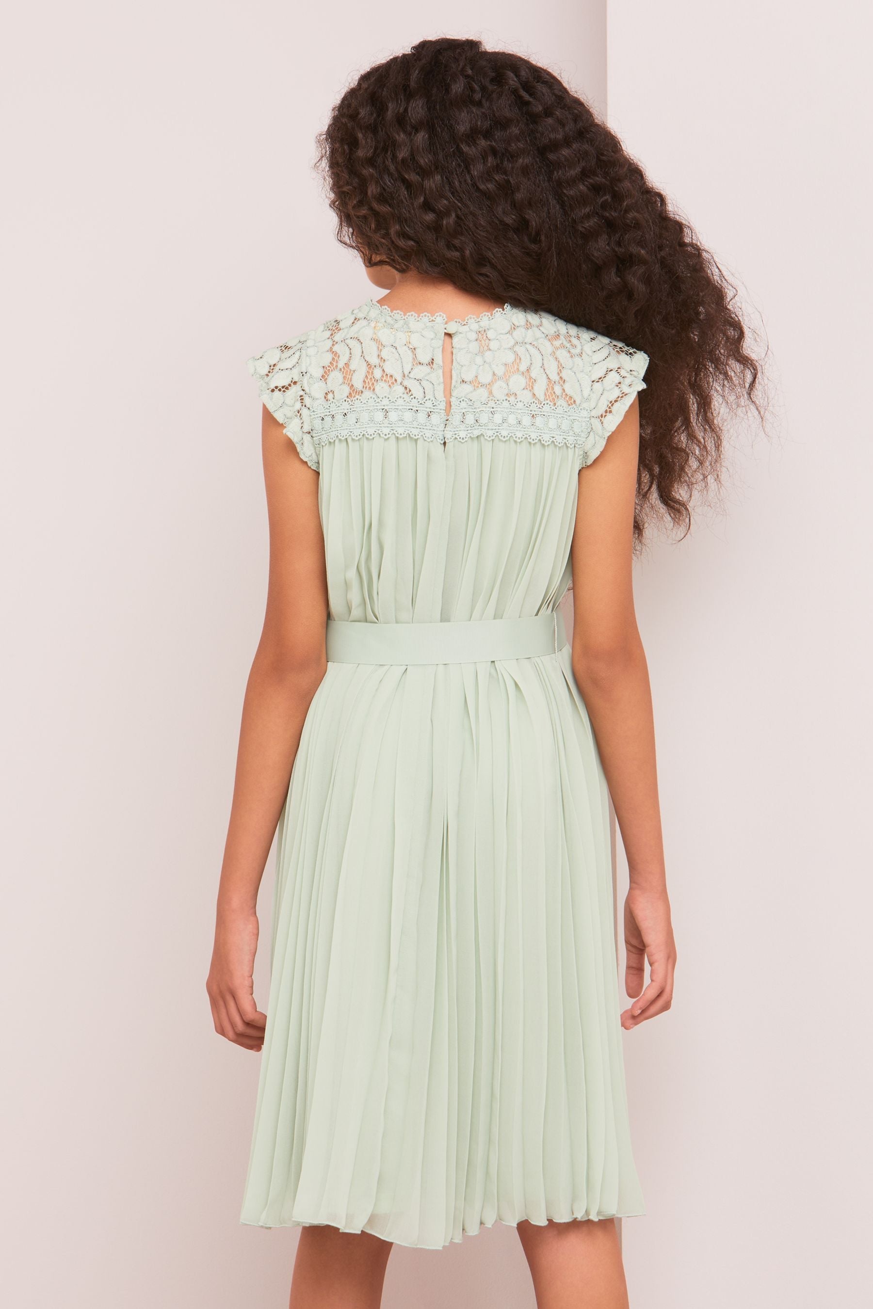 Sage Green Lace Yolk Pleated Occasion Dress