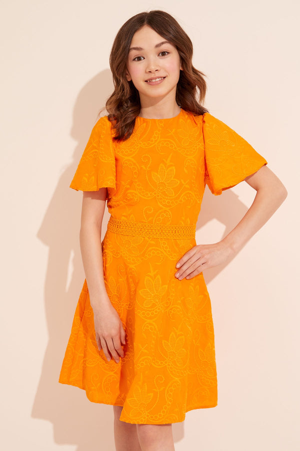 Orange Flutter Sleeve Lace Occasion Dress