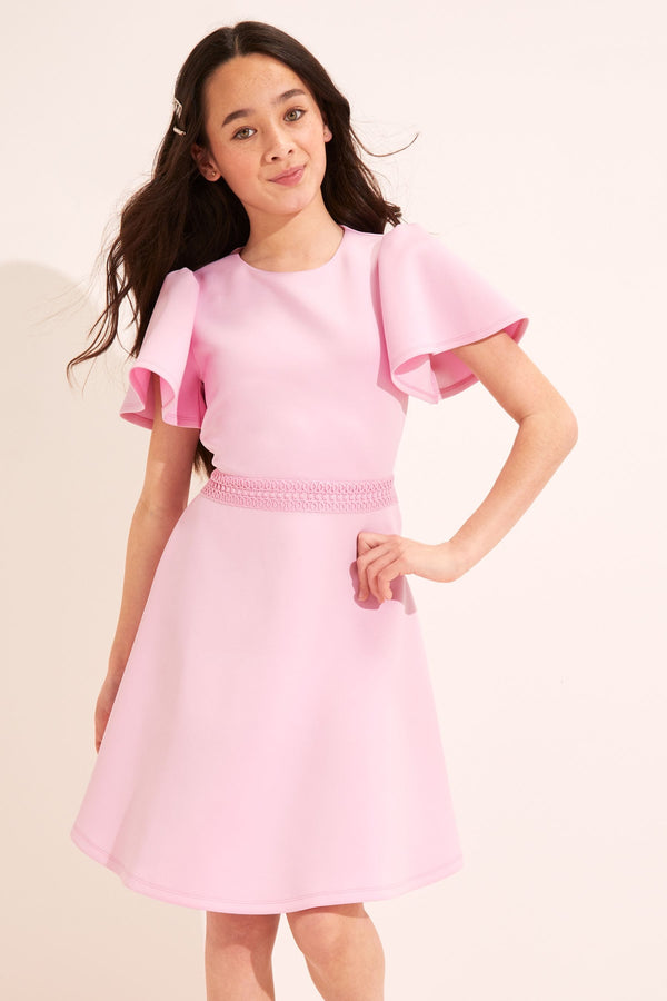 Pink Waist Trim Scuba Dress