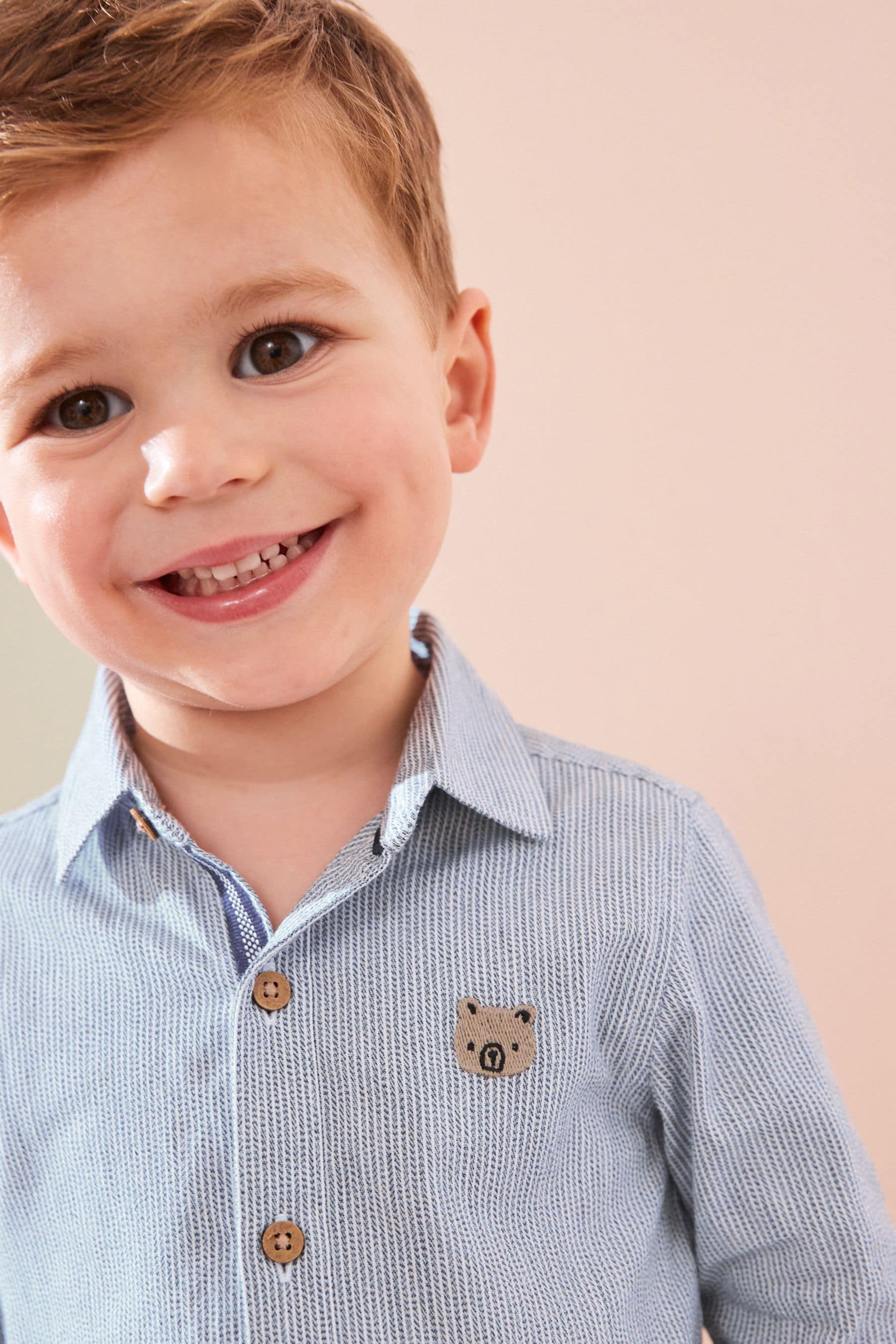 Grey Stripe Character Long Sleeve Oxford Shirt (3mths-7yrs)