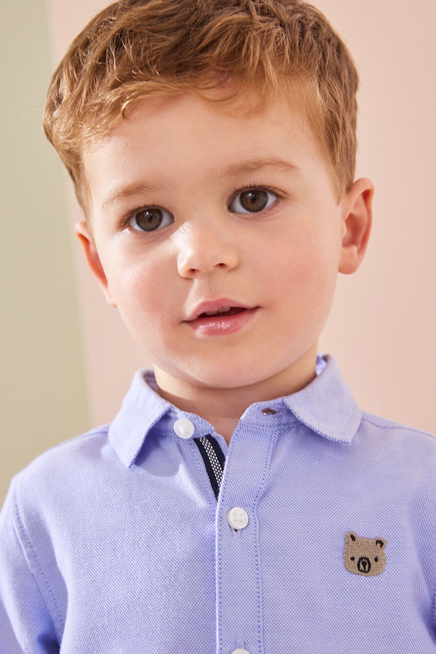 Blue Character Long Sleeve Oxford Shirt (3mths-7yrs)