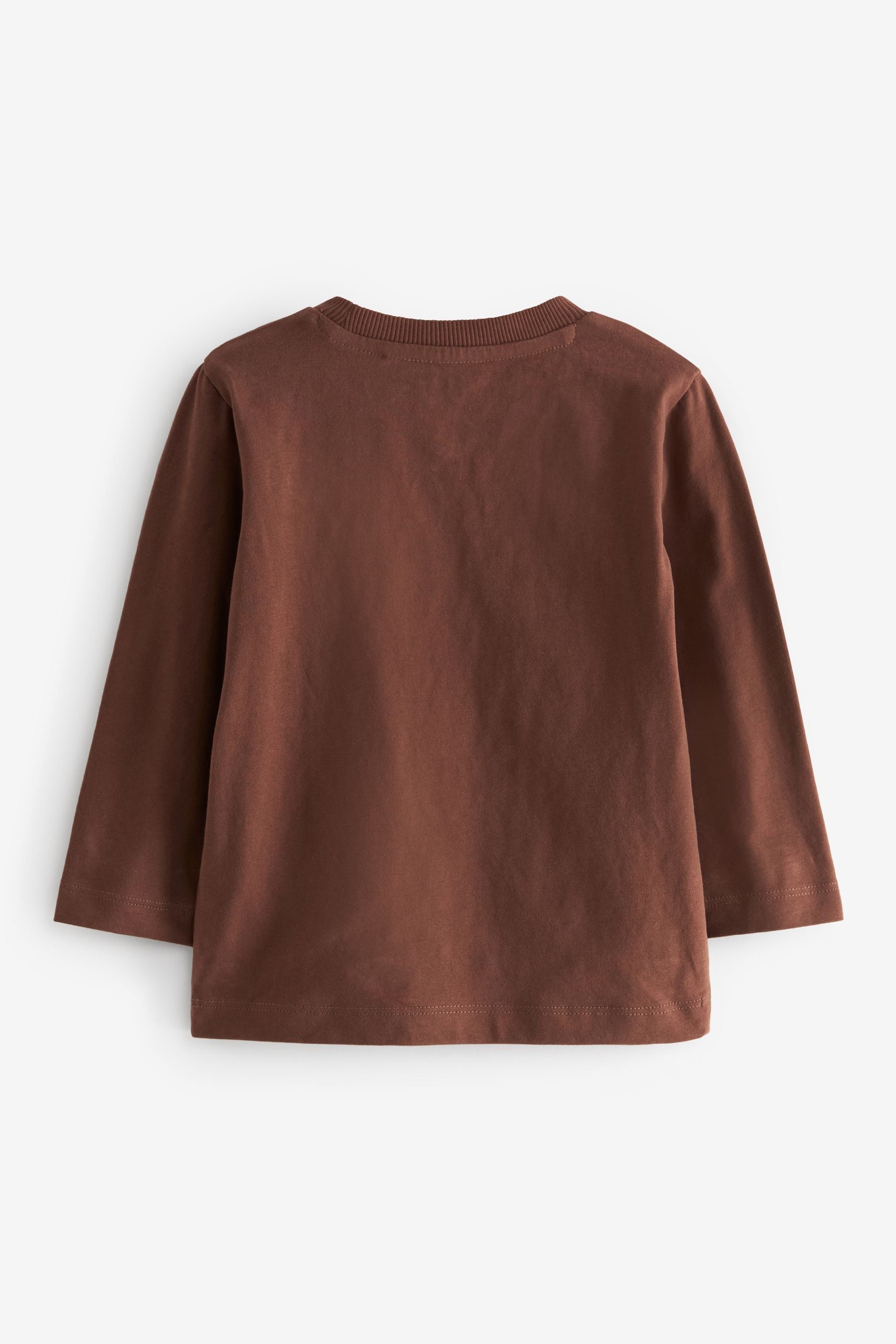 Brown Mini Bear Long Sleeve Character T-Shirt (3mths-7yrs)