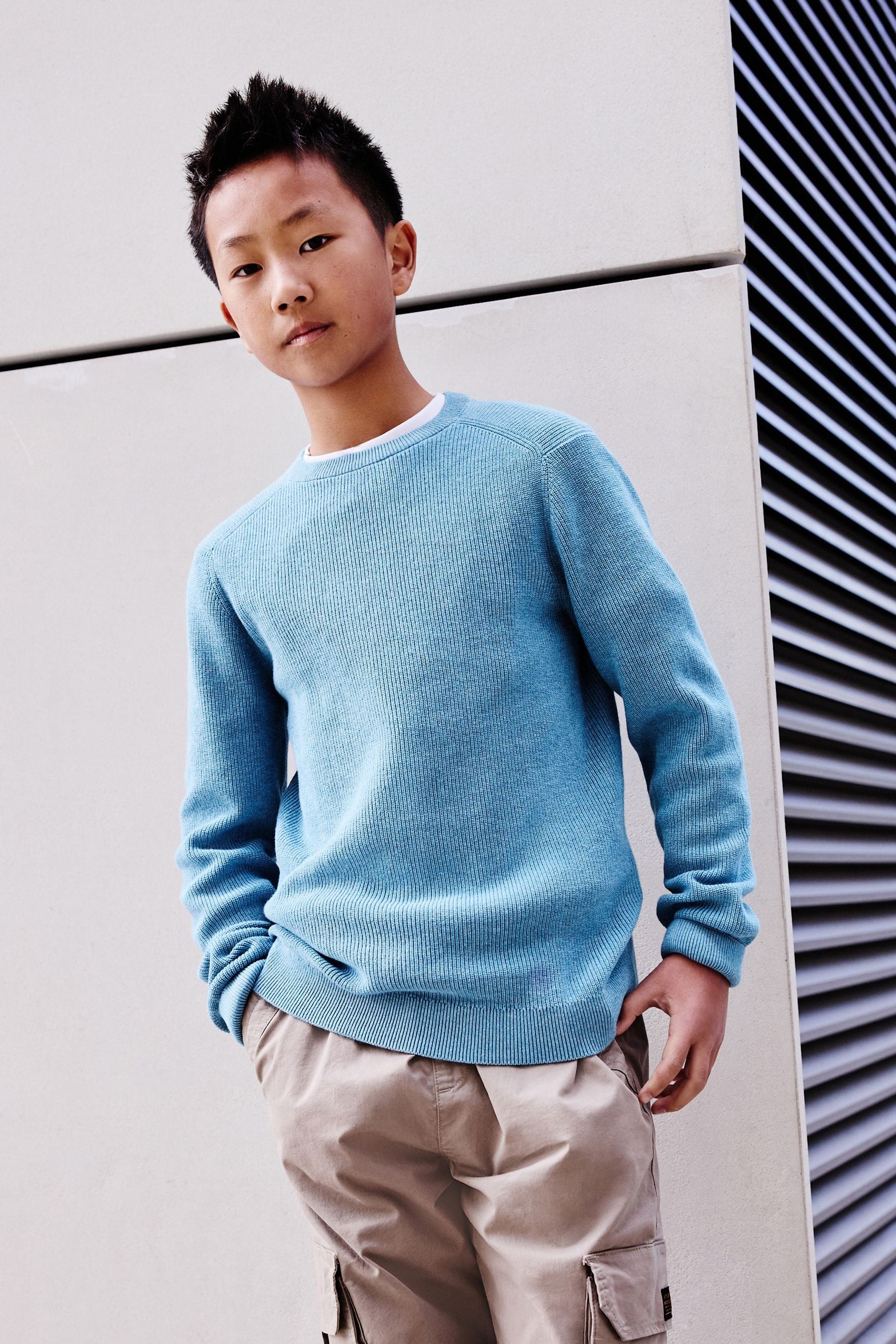 Blue 100% Cotton Crew Neck Knitted Jumper (3-16yrs)