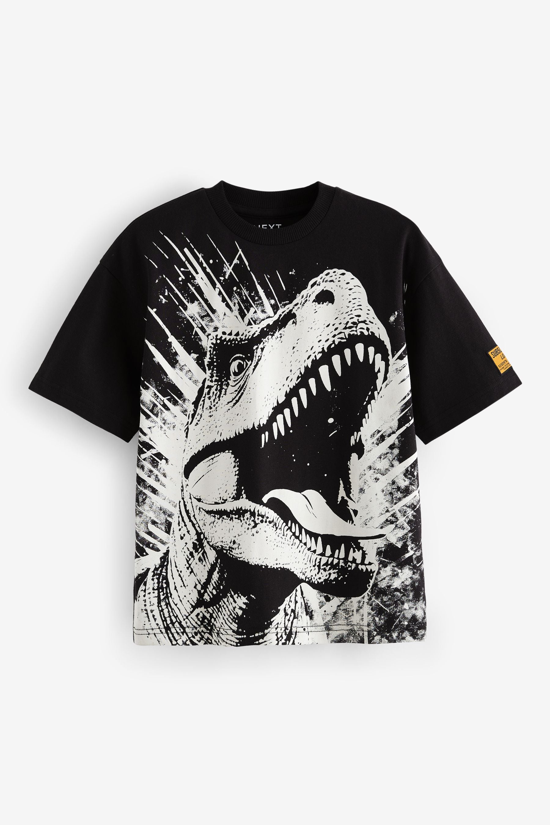 Black/White Dinosaur Graphic Short Sleeve T-Shirts 2 Pack (3-16yrs)