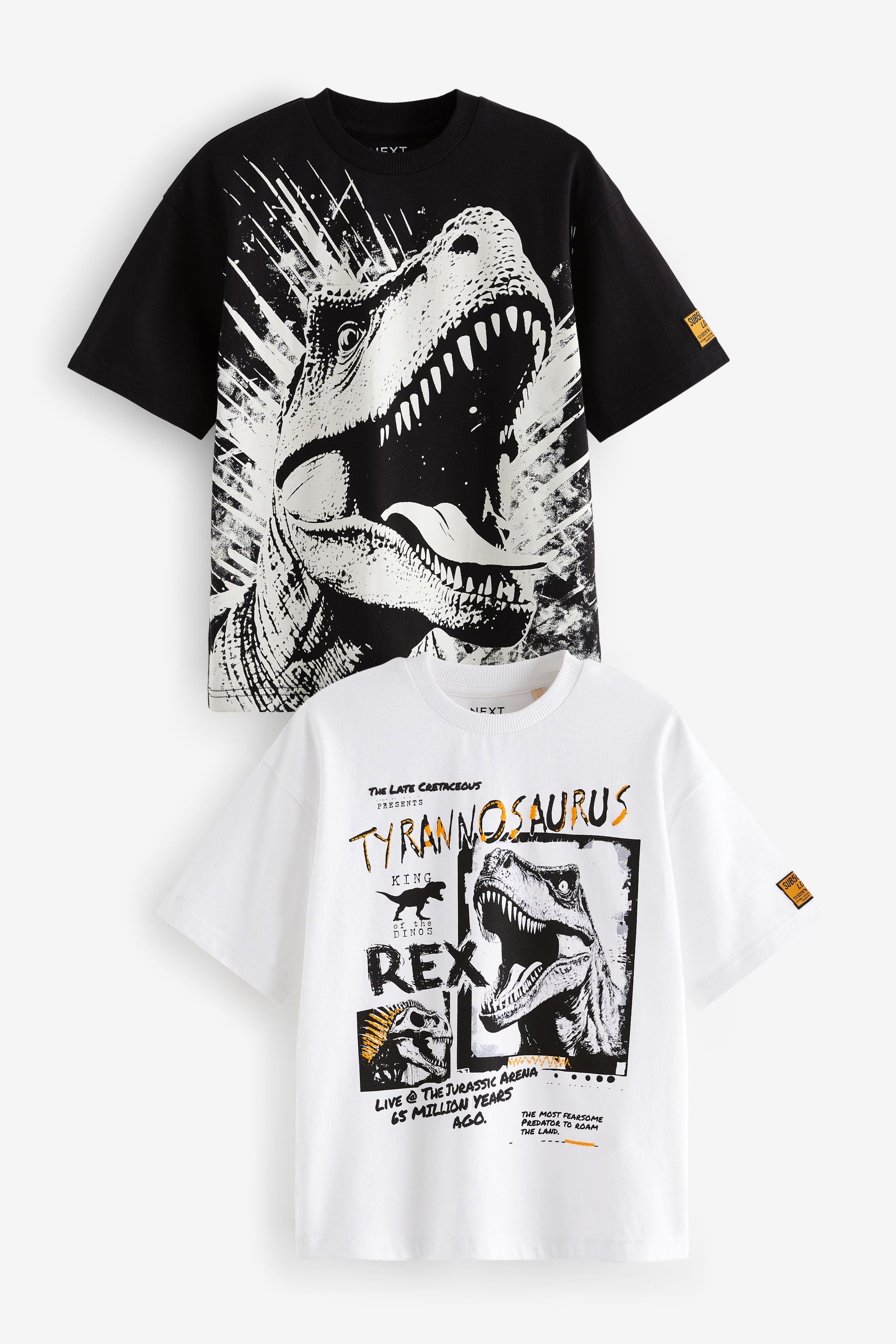 Black/White Dinosaur Graphic Short Sleeve 100% Cotton T-Shirts 2 Pack (3-16yrs)