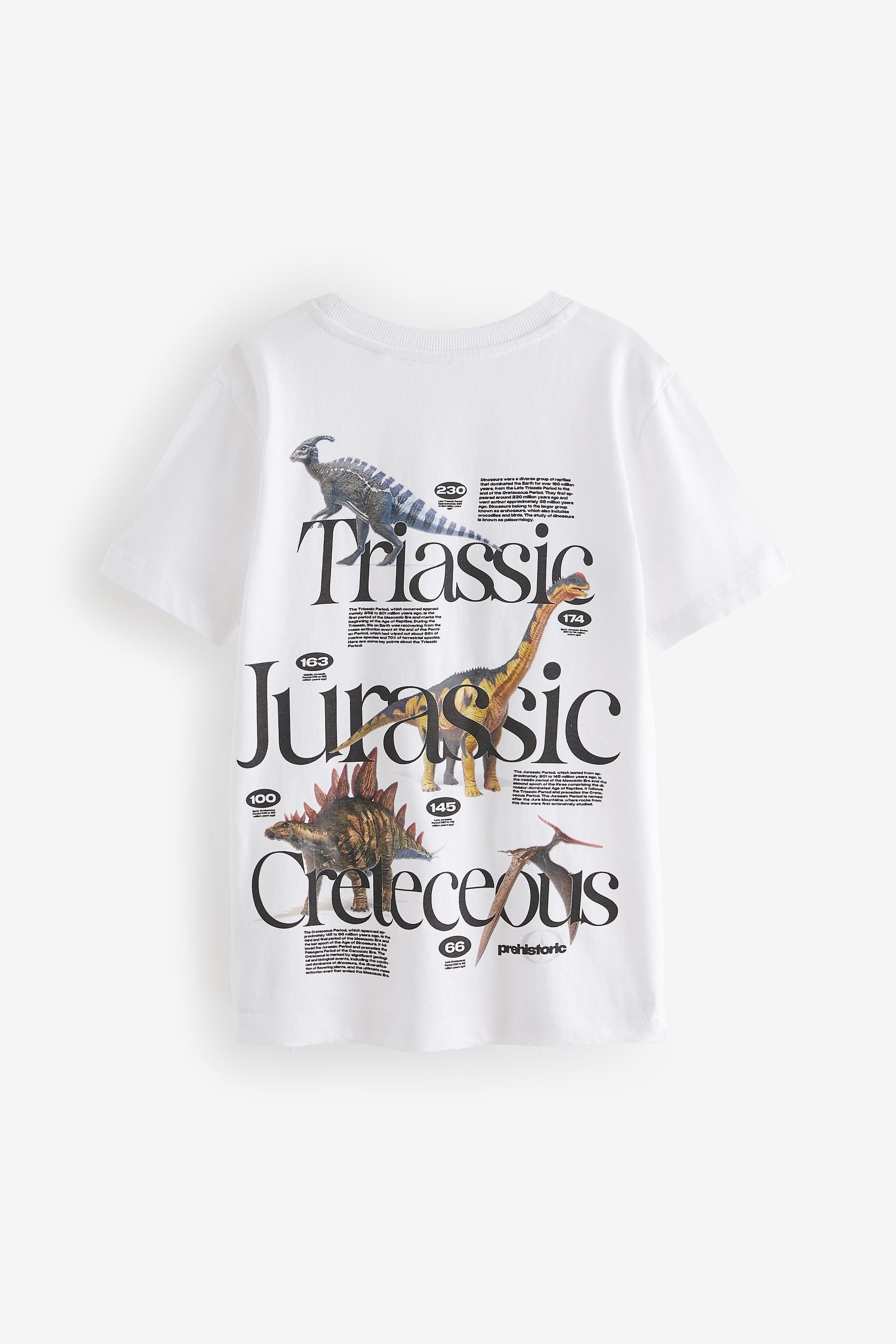 White Dino Back Print 100% Cotton Short Sleeve Graphic T-Shirt (3-16yrs)