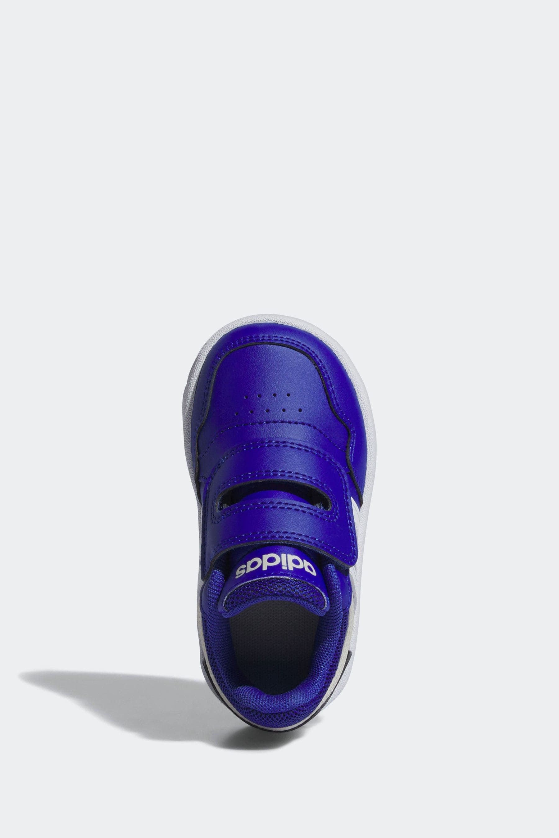 adidas Blue Hoops Shoes