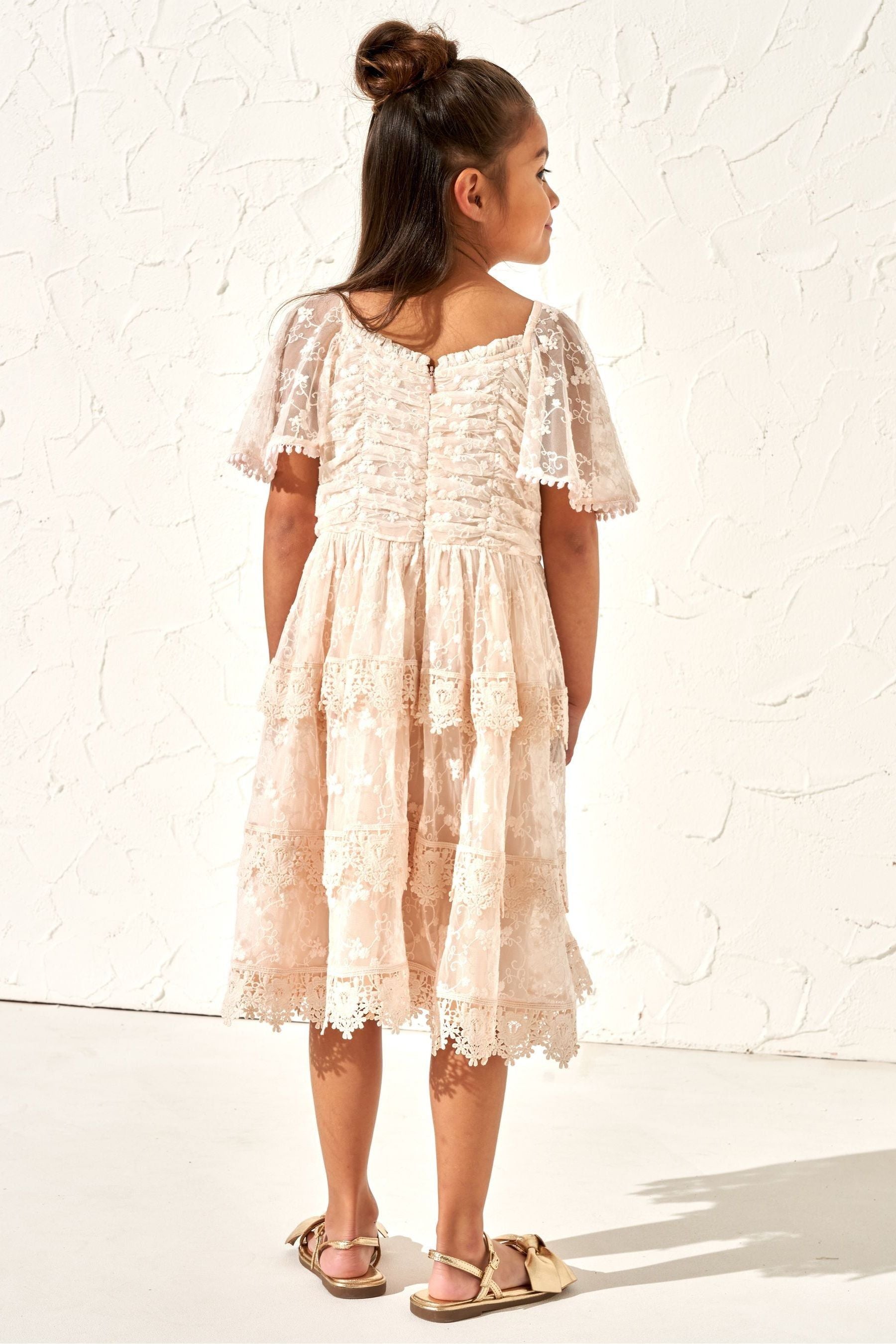 Pink Angel & Rocket Annabelle Vintage Lace Mesh Dress