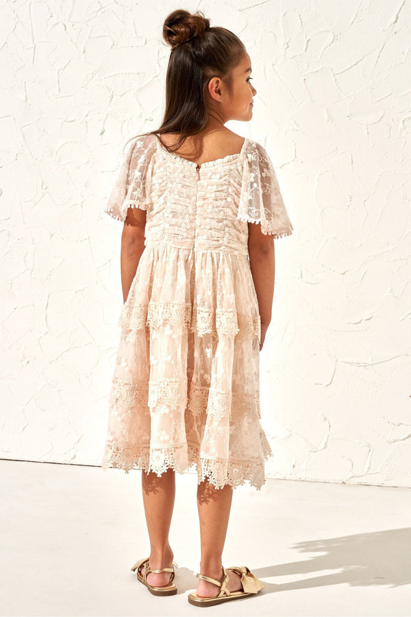 Angel & Rocket Pink Annabelle Vintage Lace Mesh Dress