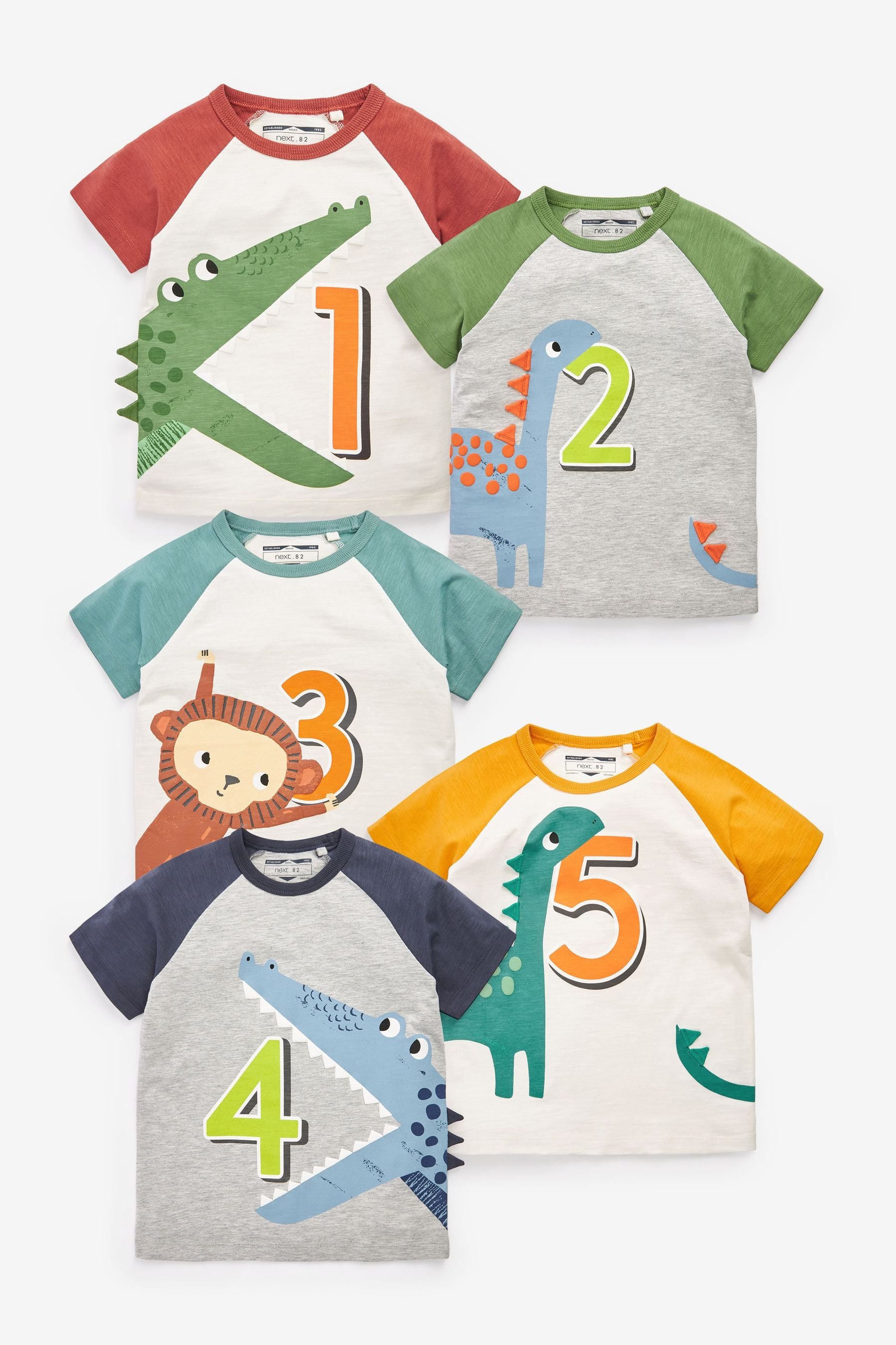 Safari 'I AM Birthday' Short Sleeve T-Shirt (12mths-6yrs)