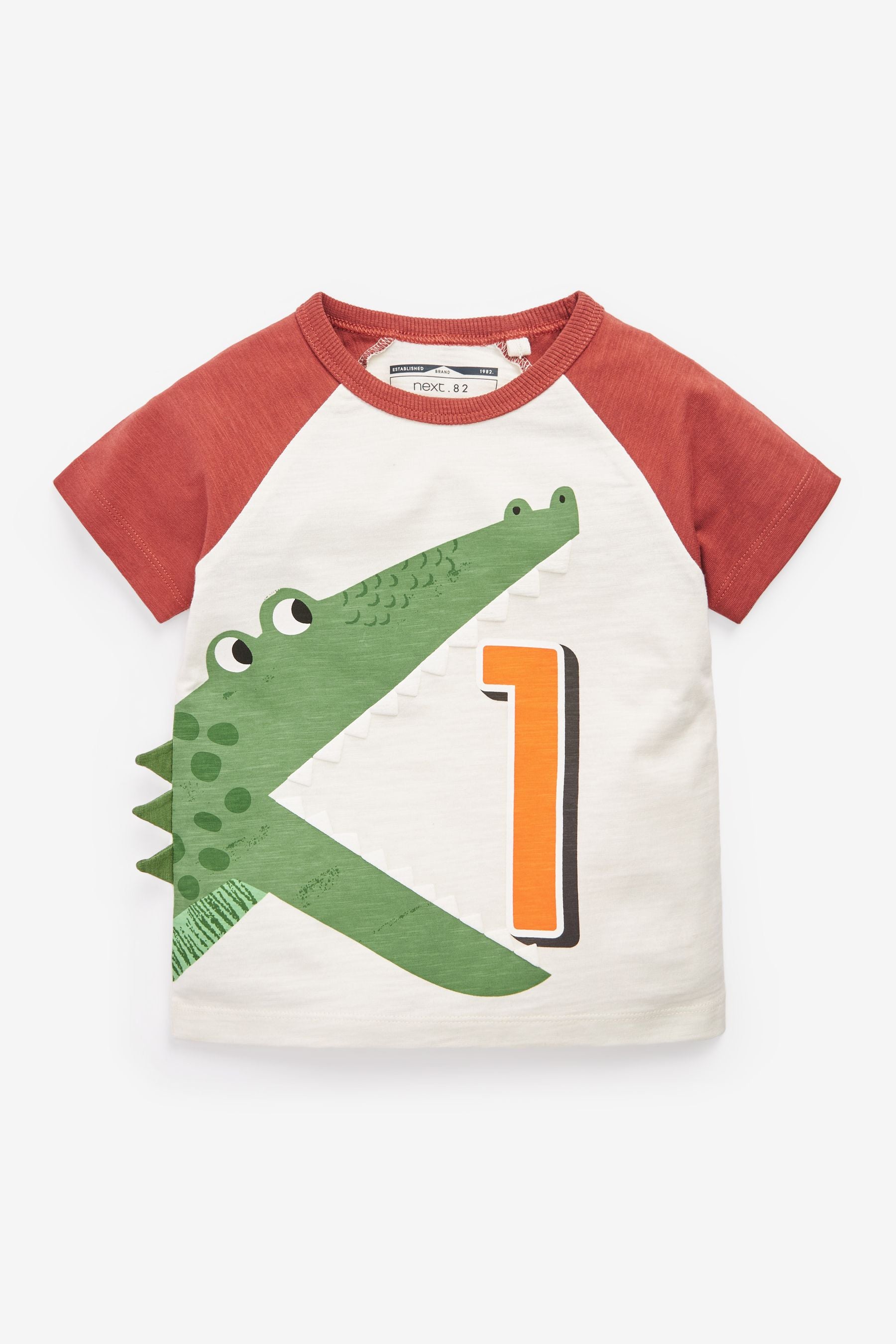 Safari 'I AM Birthday' Short Sleeve T-Shirt (12mths-6yrs)