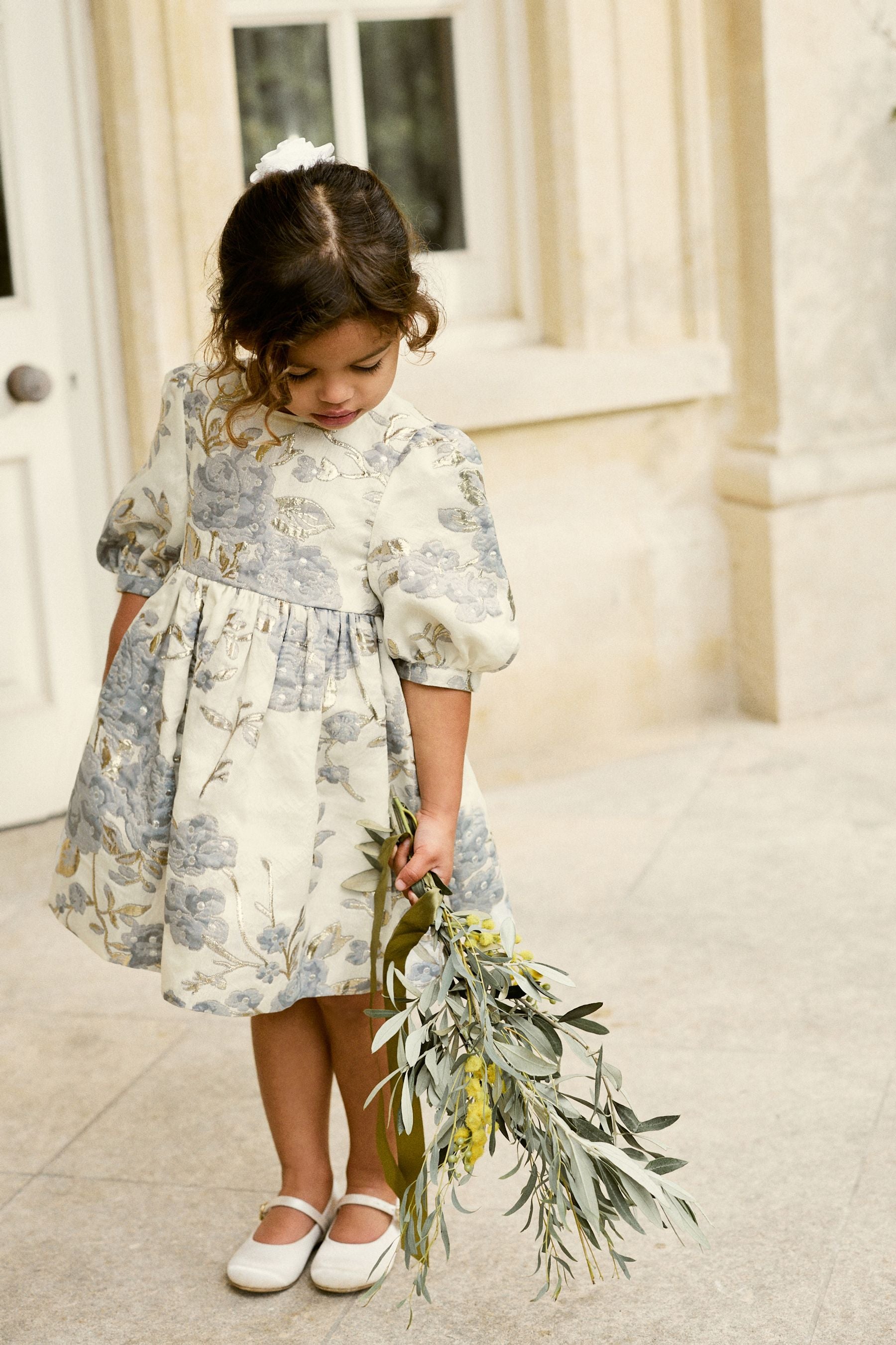 Gold/Silver Grey Floral Jacquard Prom Dress (12mths-10yrs)