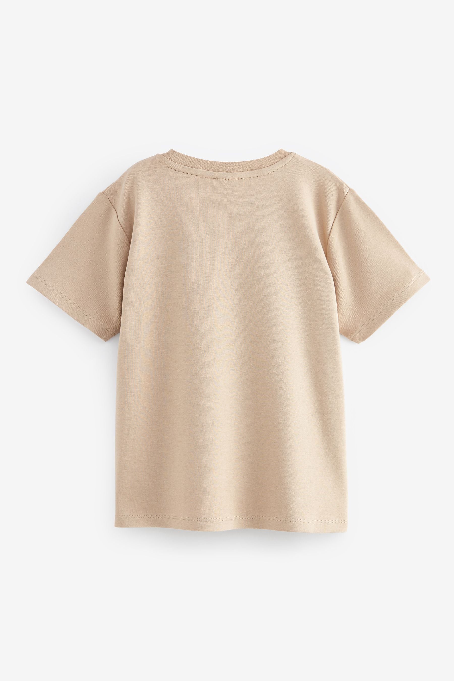 Stone Baker by Ted Baker Zip T-Shirt