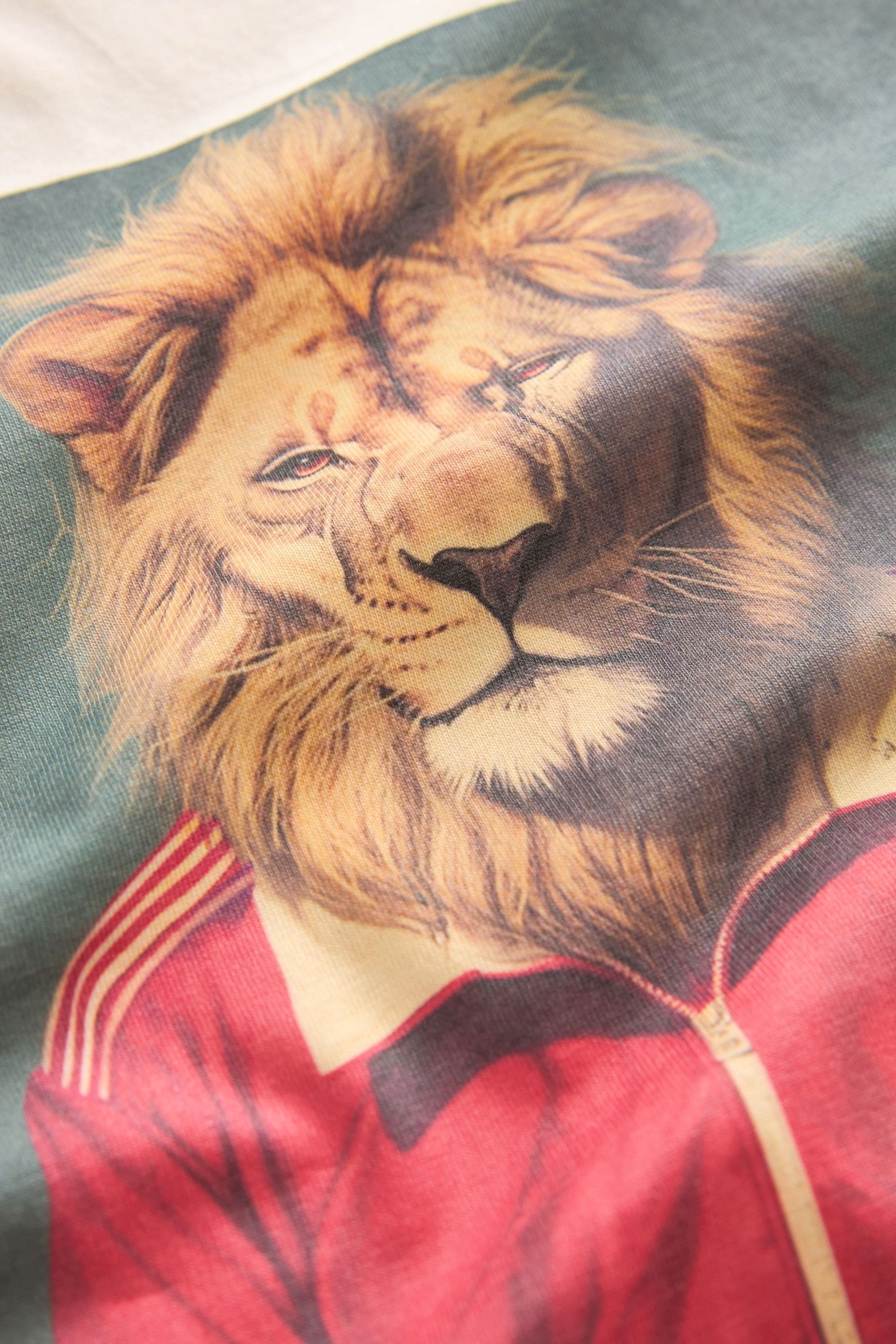 Stone Football Lion 100% Cotton Short Sleeve Graphic T-Shirt (3-16yrs)