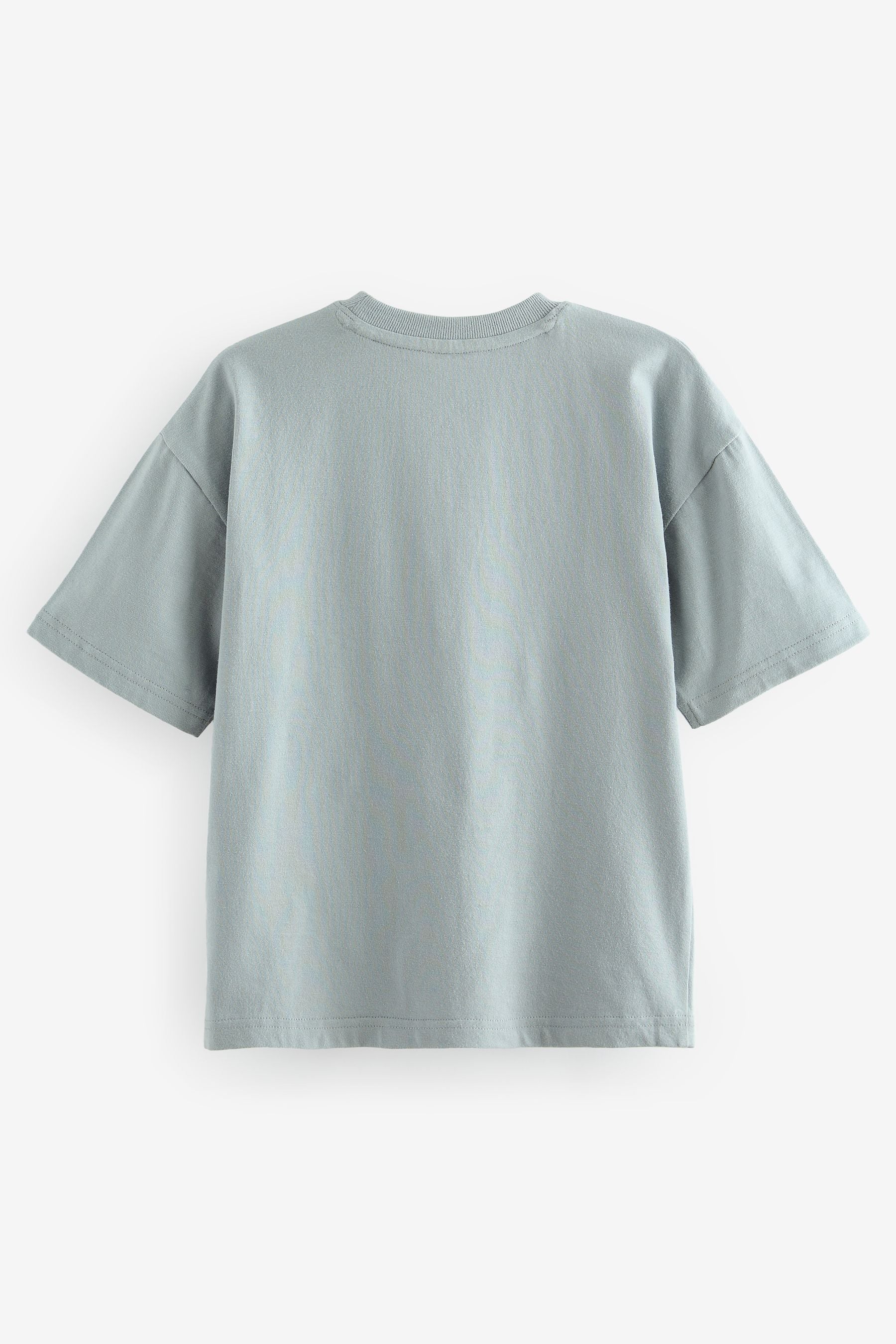 Grey Embroidery Relaxed Fit Short Sleeve Graphic T-Shirt (3-16yrs)