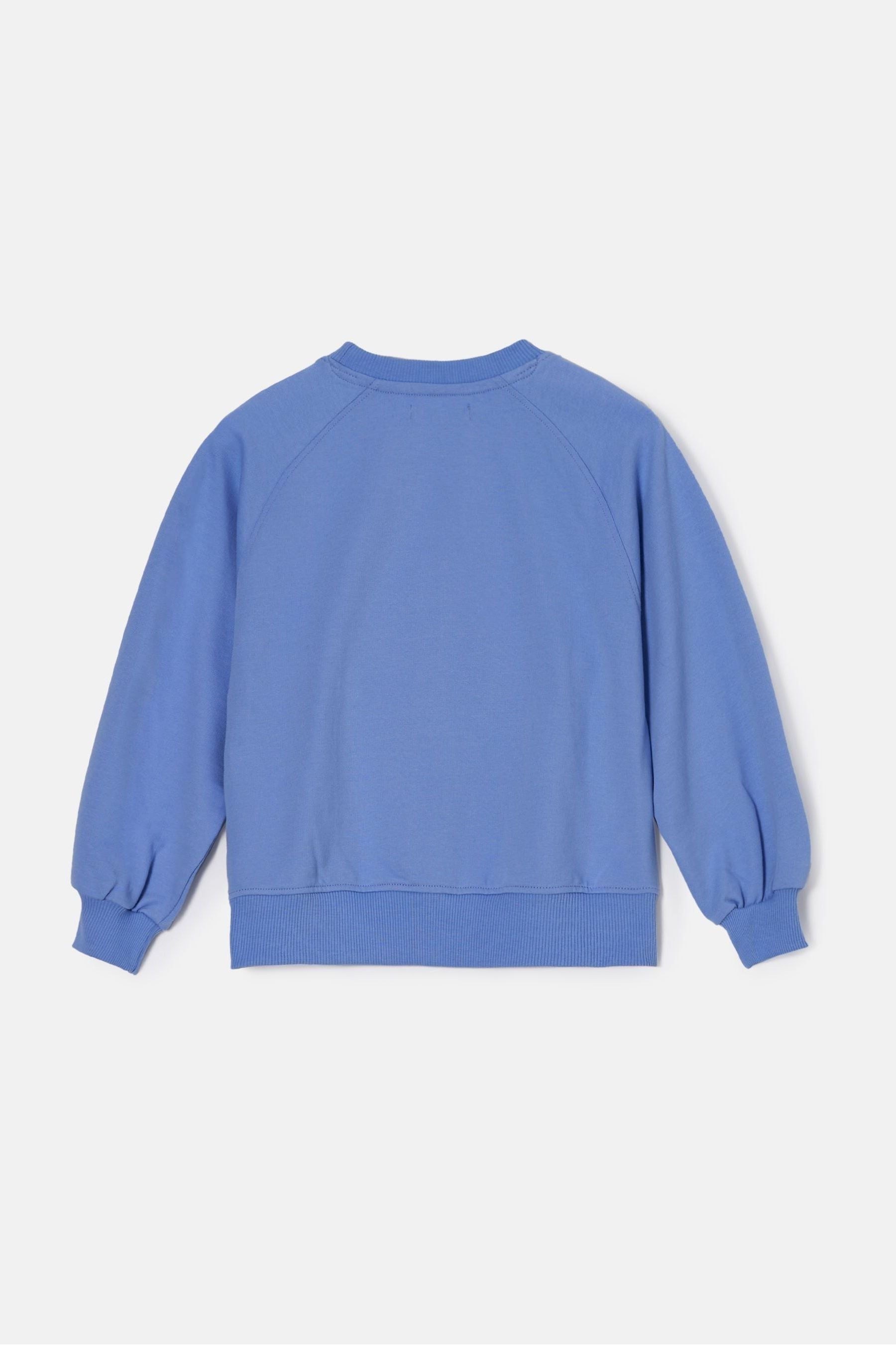 Blue Angel & Rocket Flora Corsage Sweatshirt