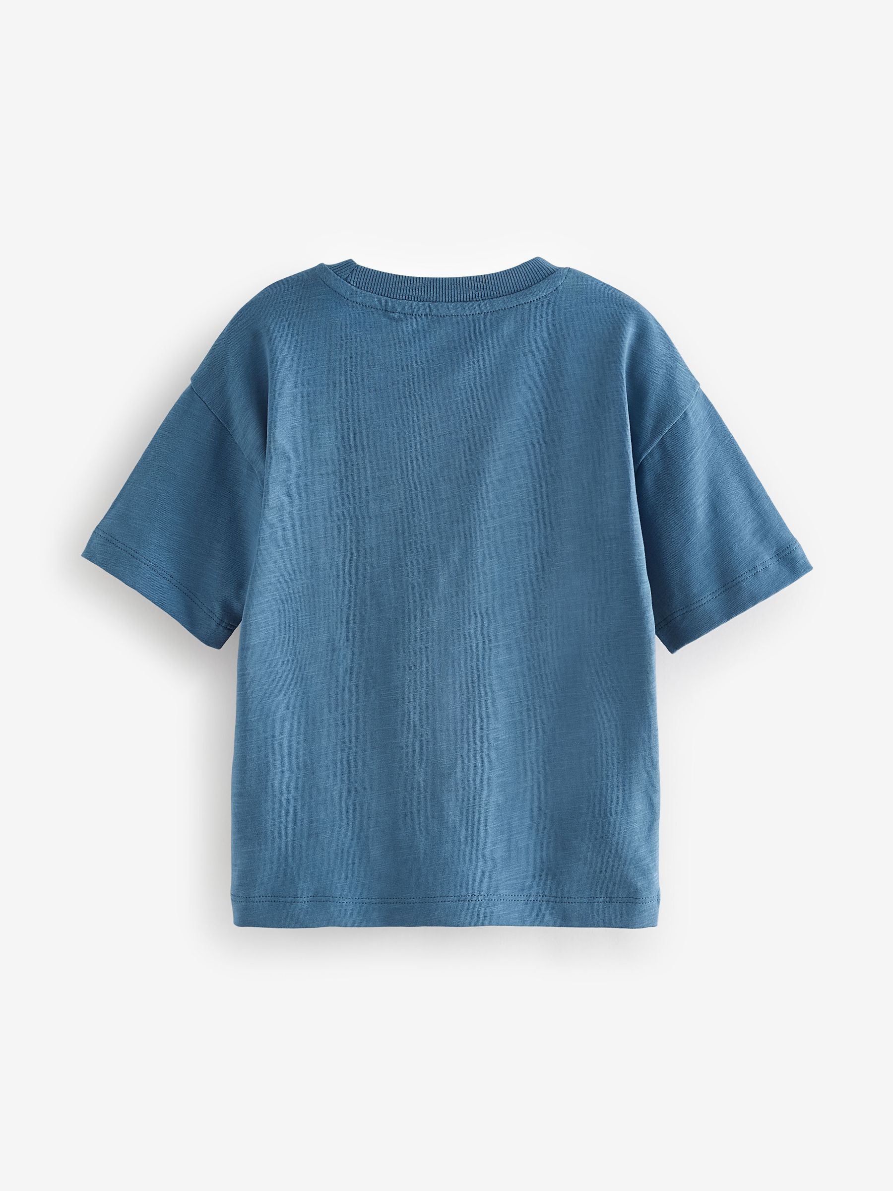 Blue 100% Cotton Short Sleeve Character T-Shirt (3mths-7yrs)