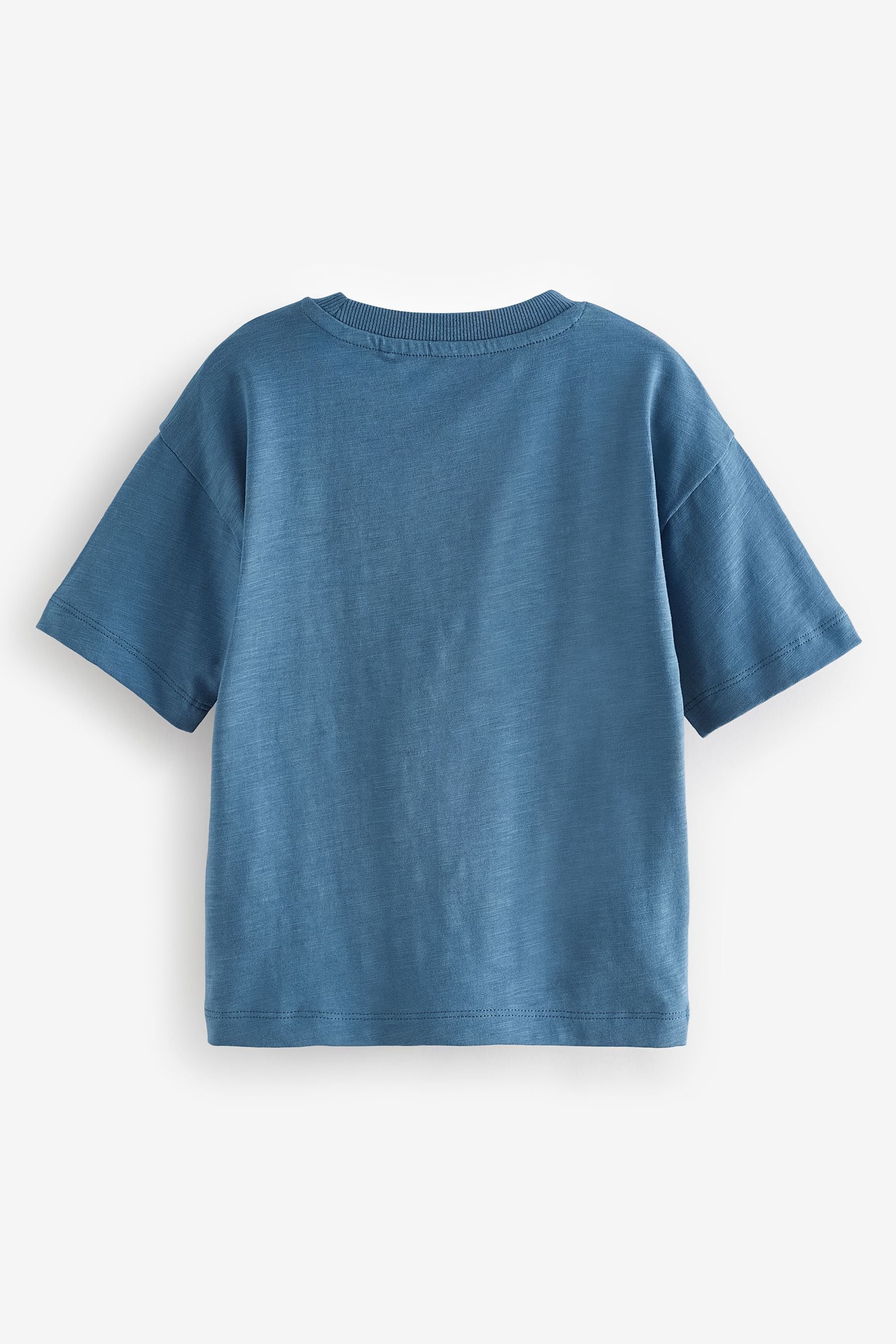 Blue Short Sleeve Character T-Shirt (3mths-7yrs)