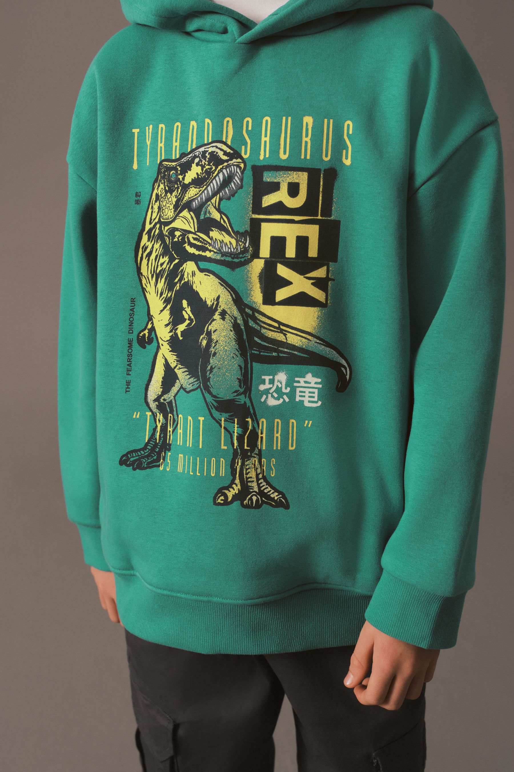 Teal Green Dinosaur Graphic Hoodie (3-16yrs)